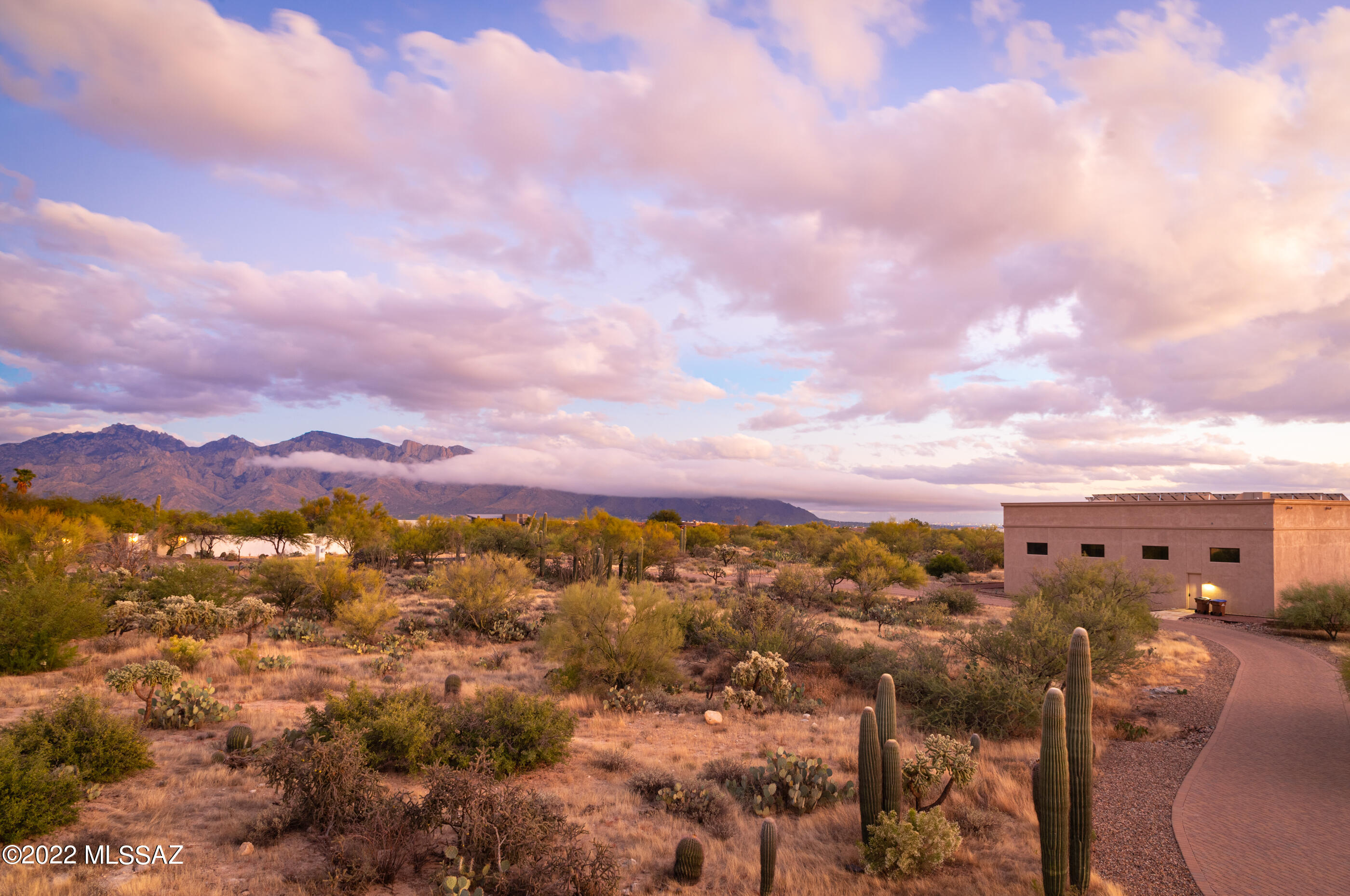 La Cholla Airpark - Residential
