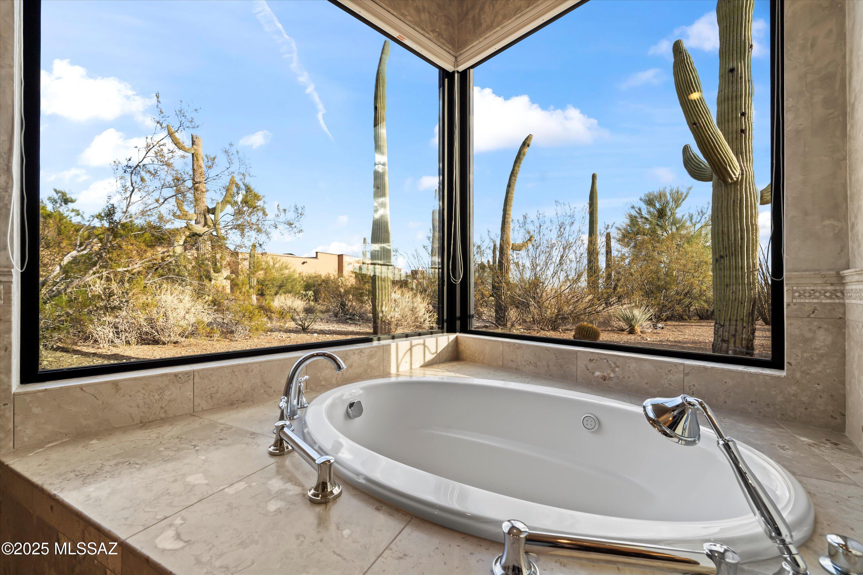 Canyon Pass At Dove Mountain - Residential