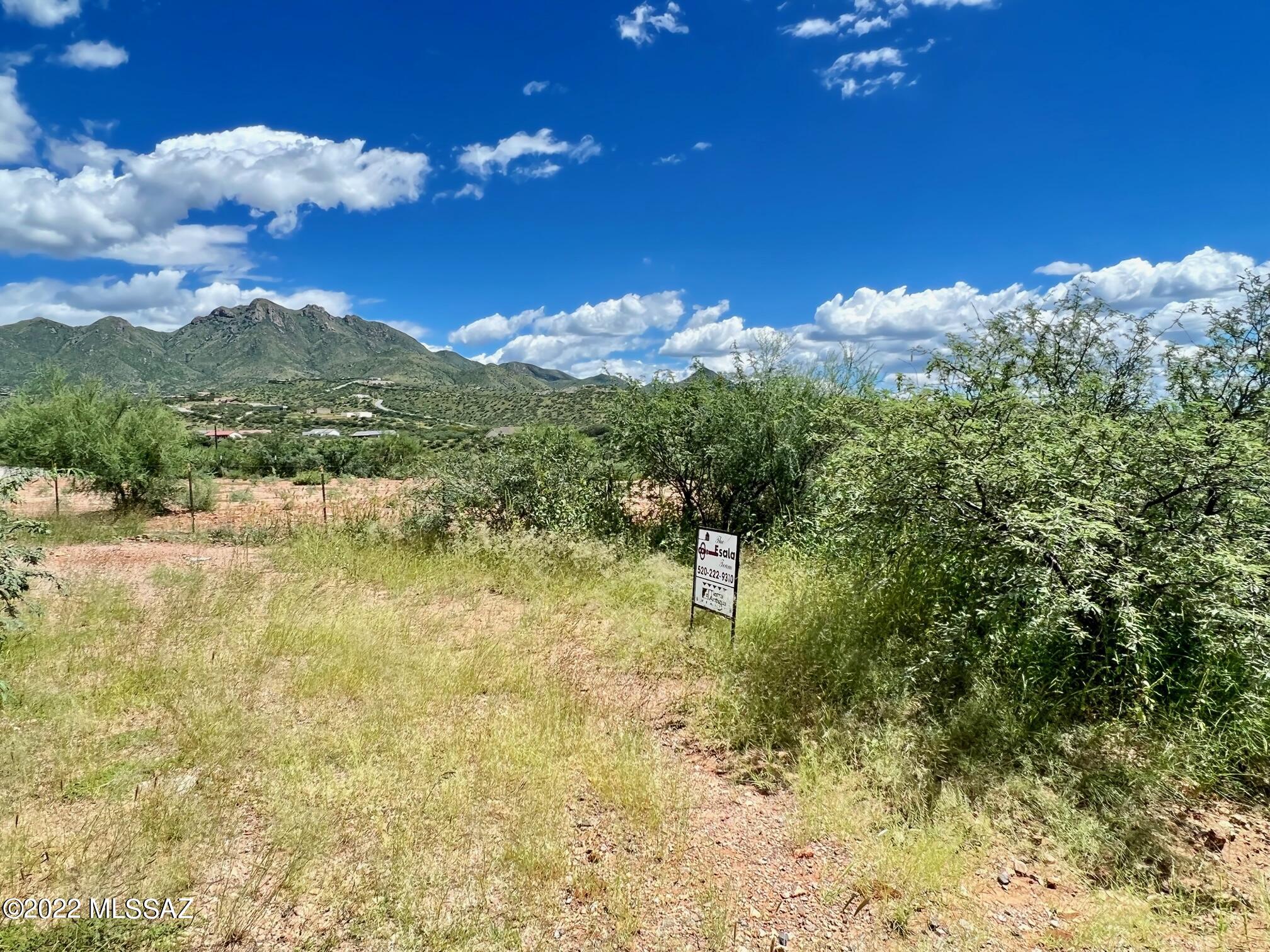 Rio Rico Ranchettes - Land