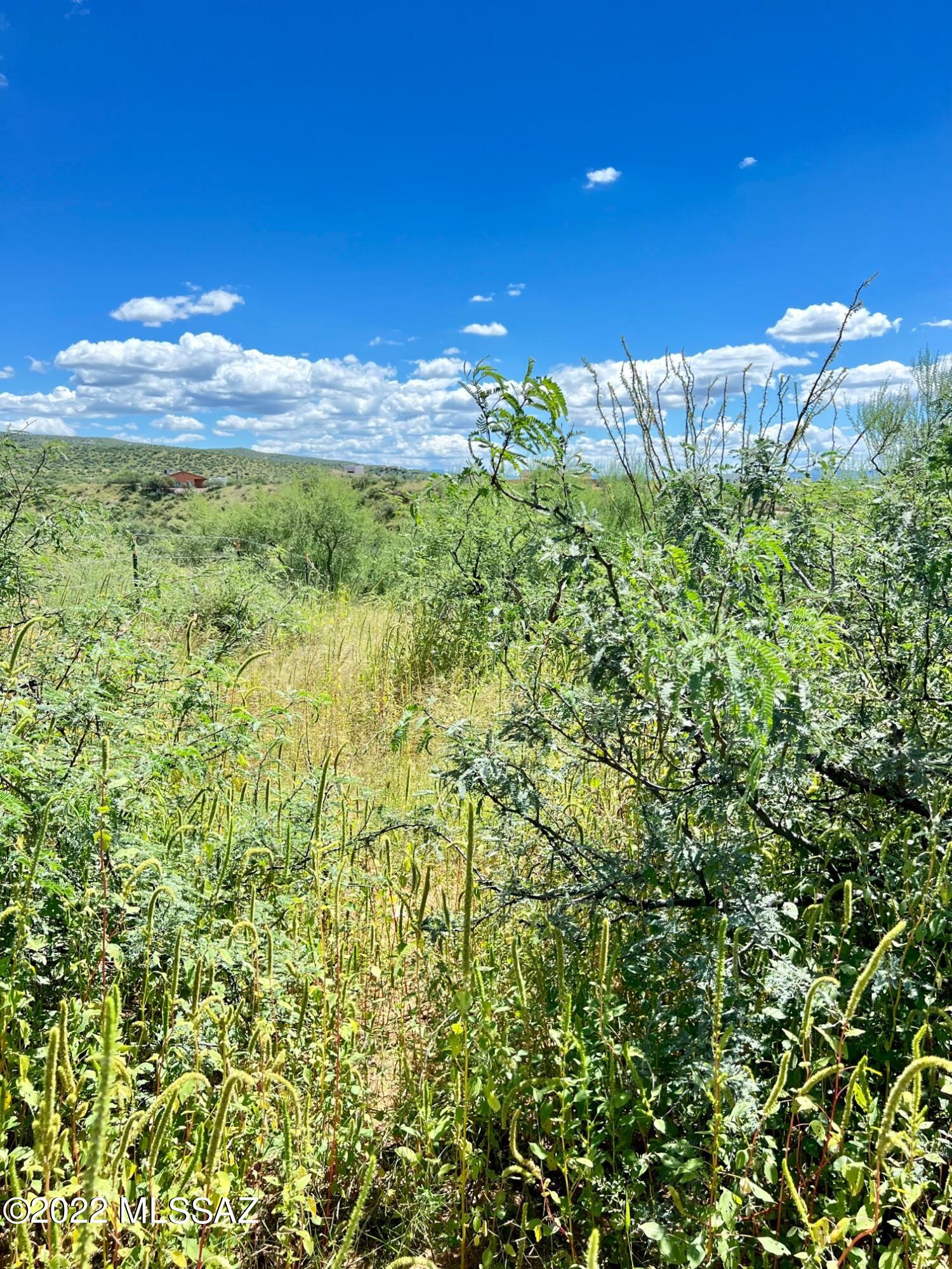 Rio Rico Ranchettes - Land