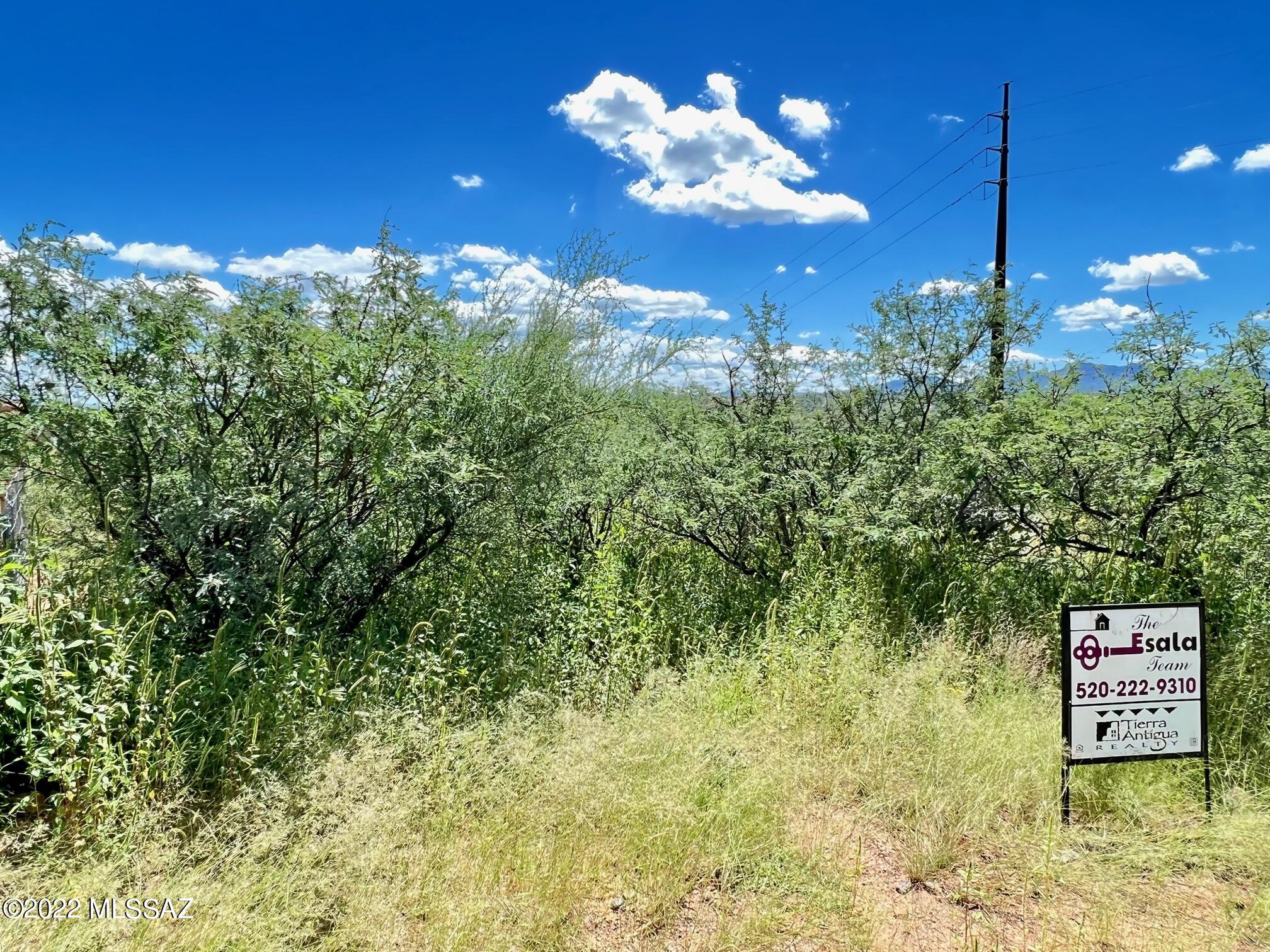 Rio Rico Ranchettes - Land