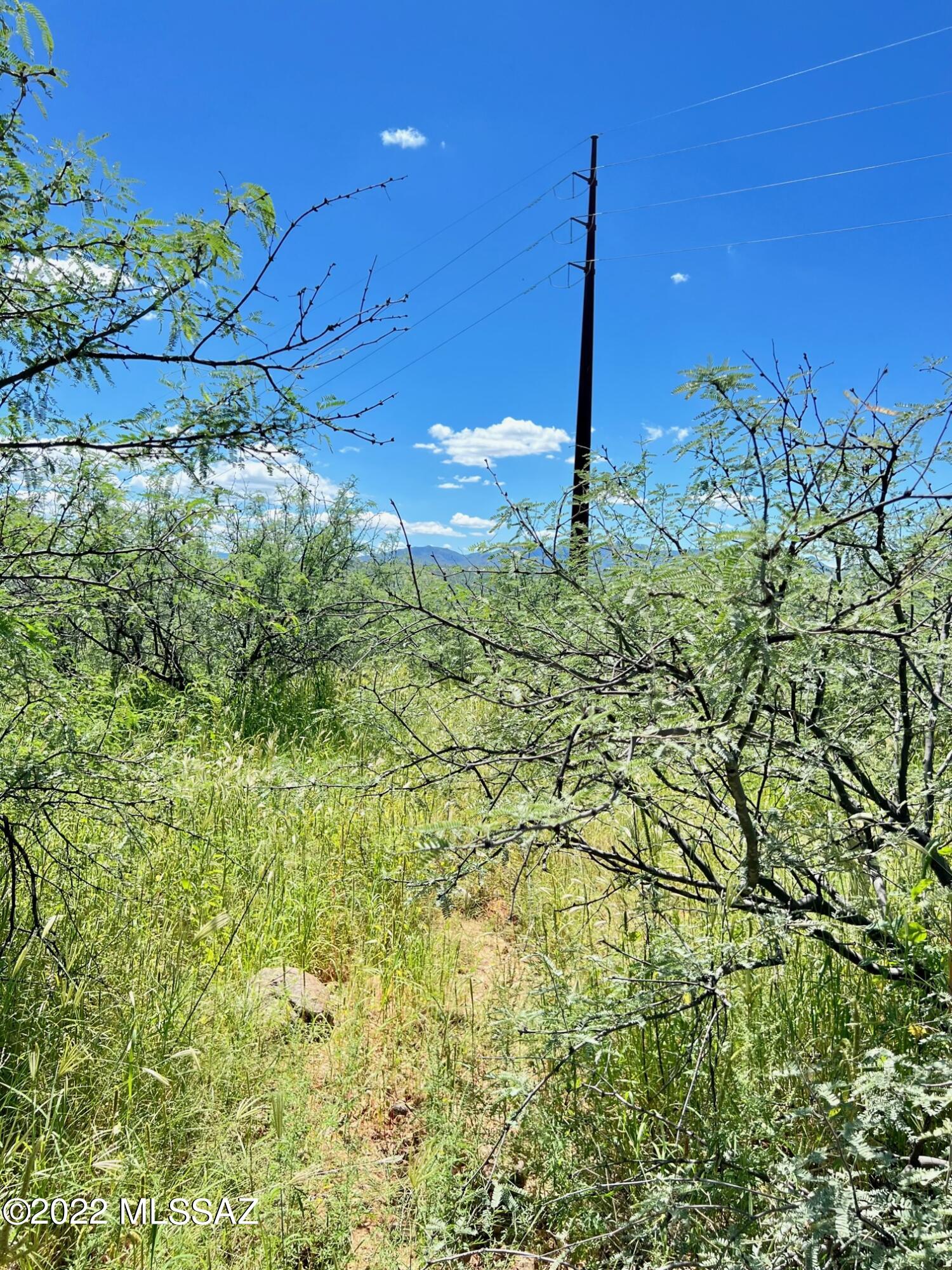 Rio Rico Ranchettes - Land