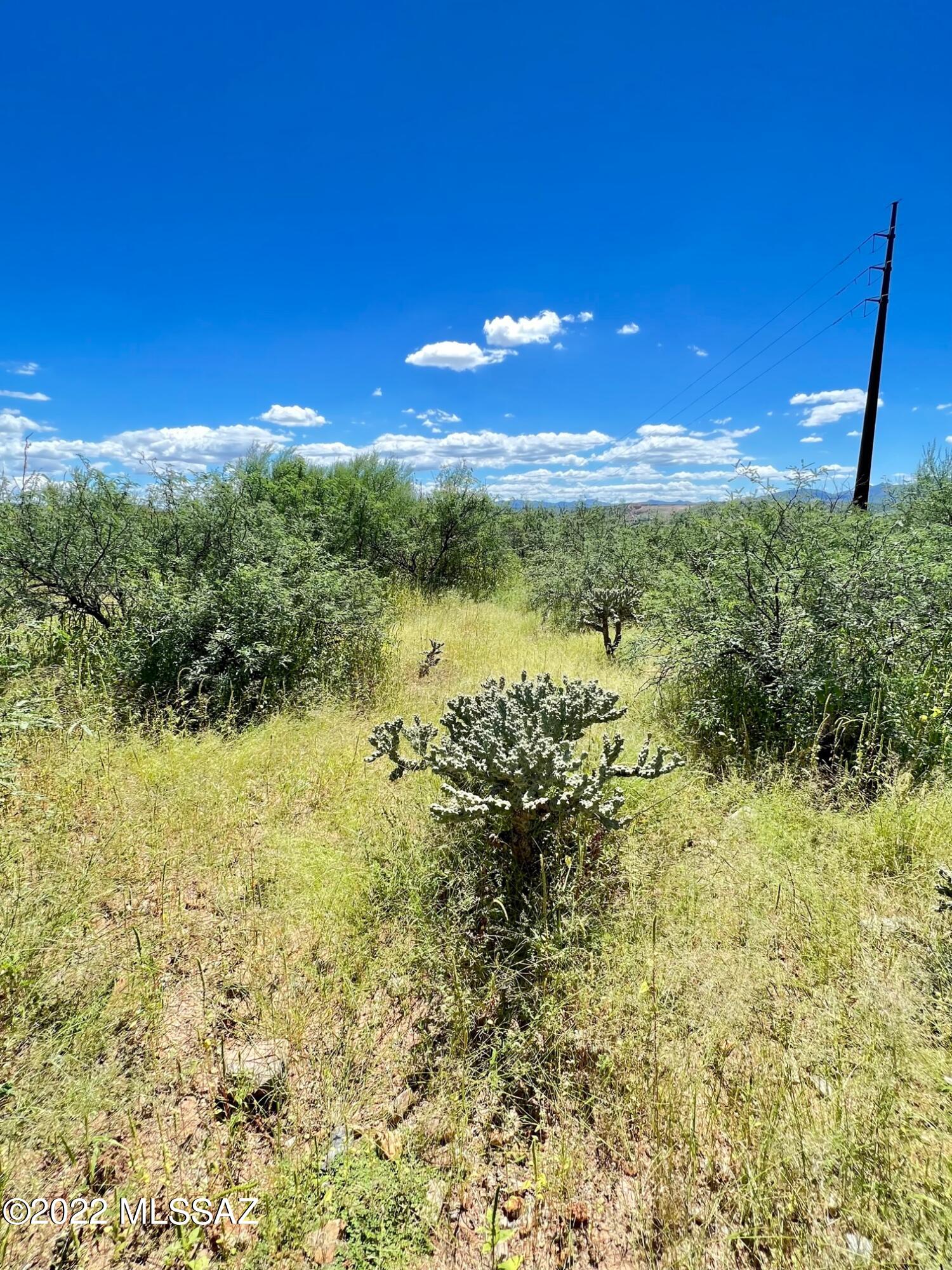 Rio Rico Ranchettes - Land
