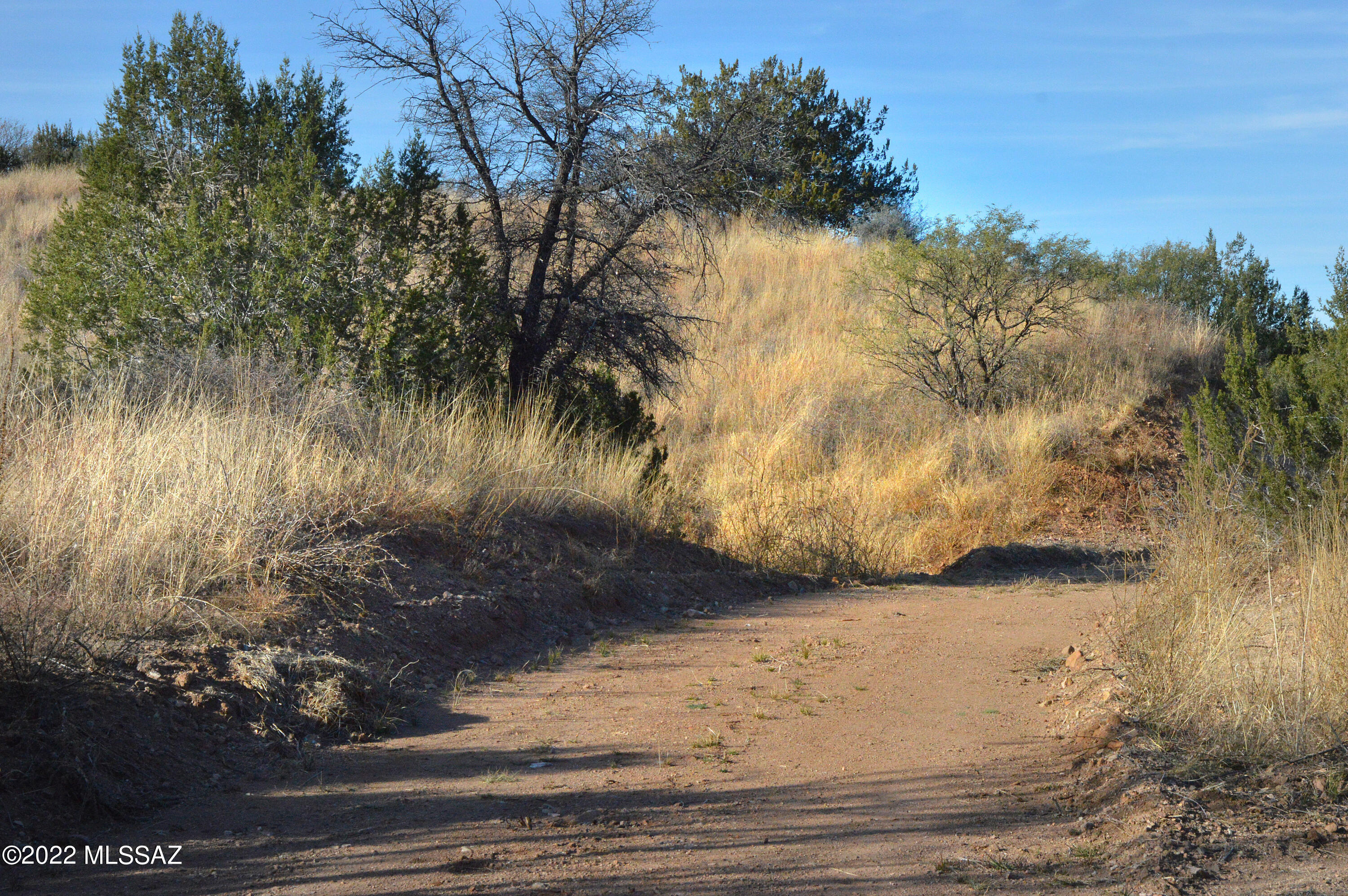 Lazy RR Ranch Estates - Land