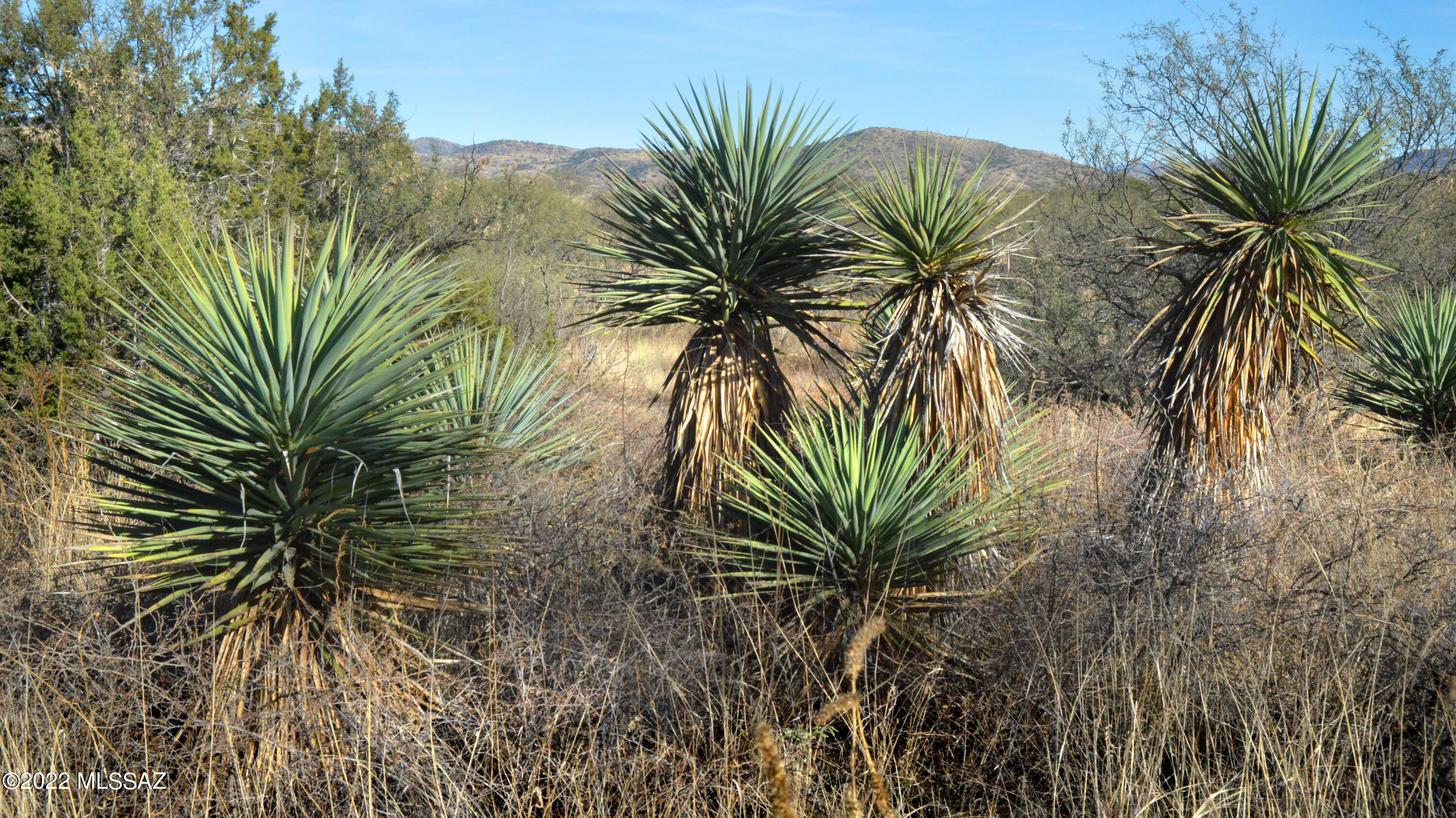 Lazy RR Ranch Estates - Land
