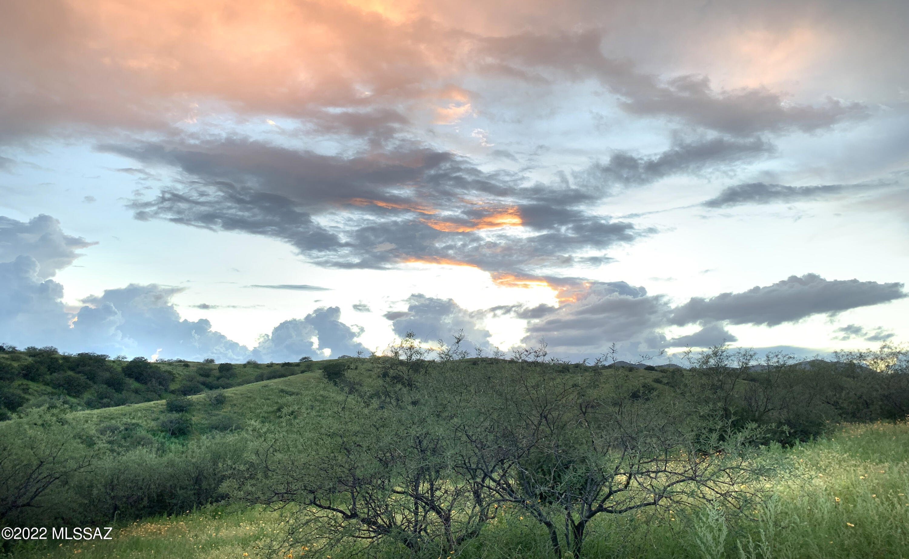 Lazy RR Ranch Estates - Land