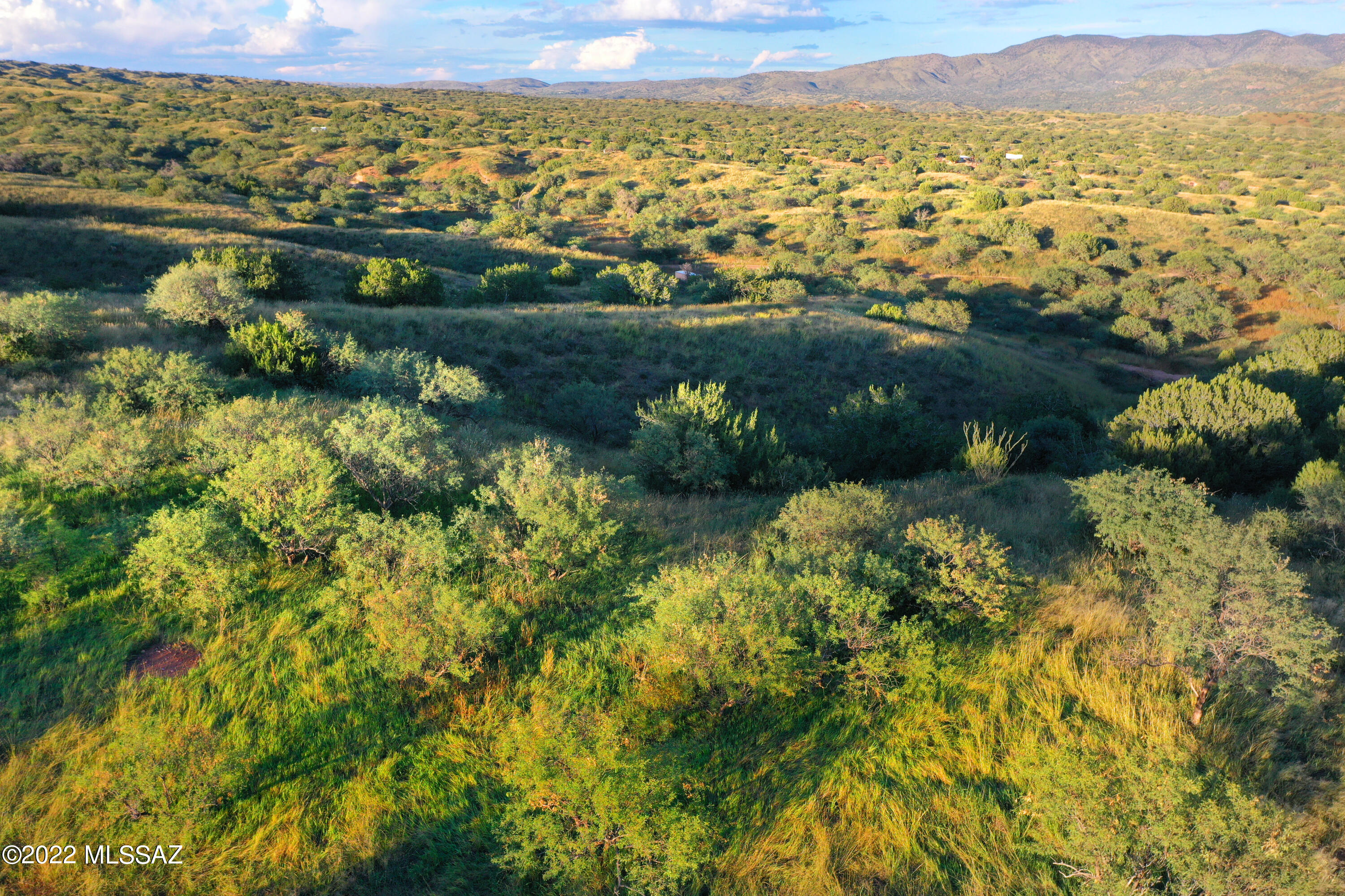 Lazy RR Ranch Estates - Land