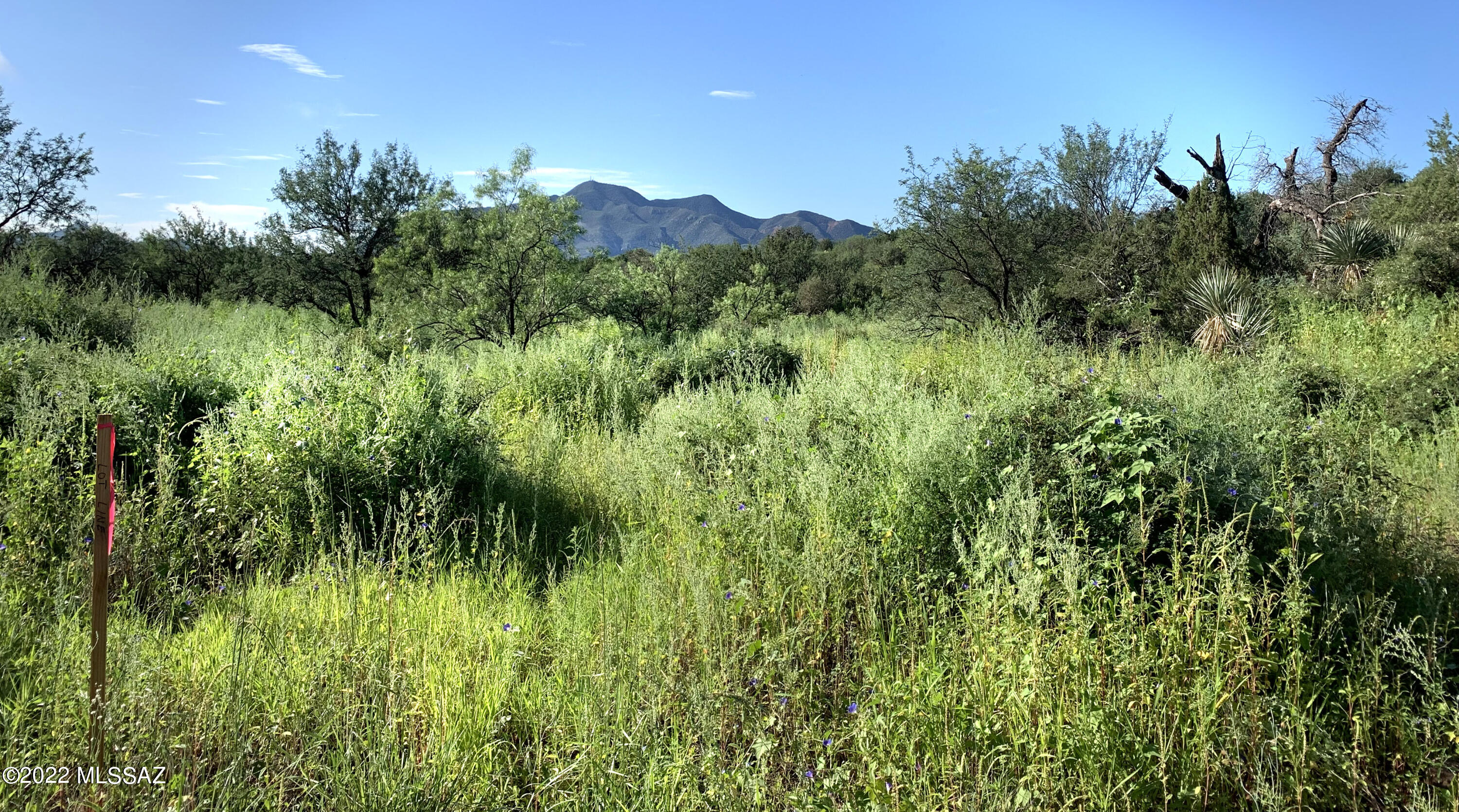 Lazy RR Ranch Estates - Land