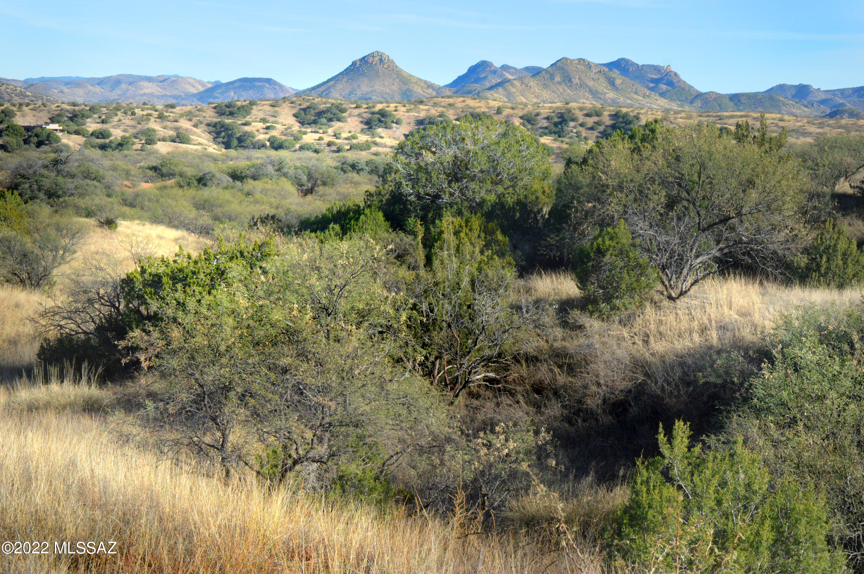 Lazy RR Ranch Estates - Land