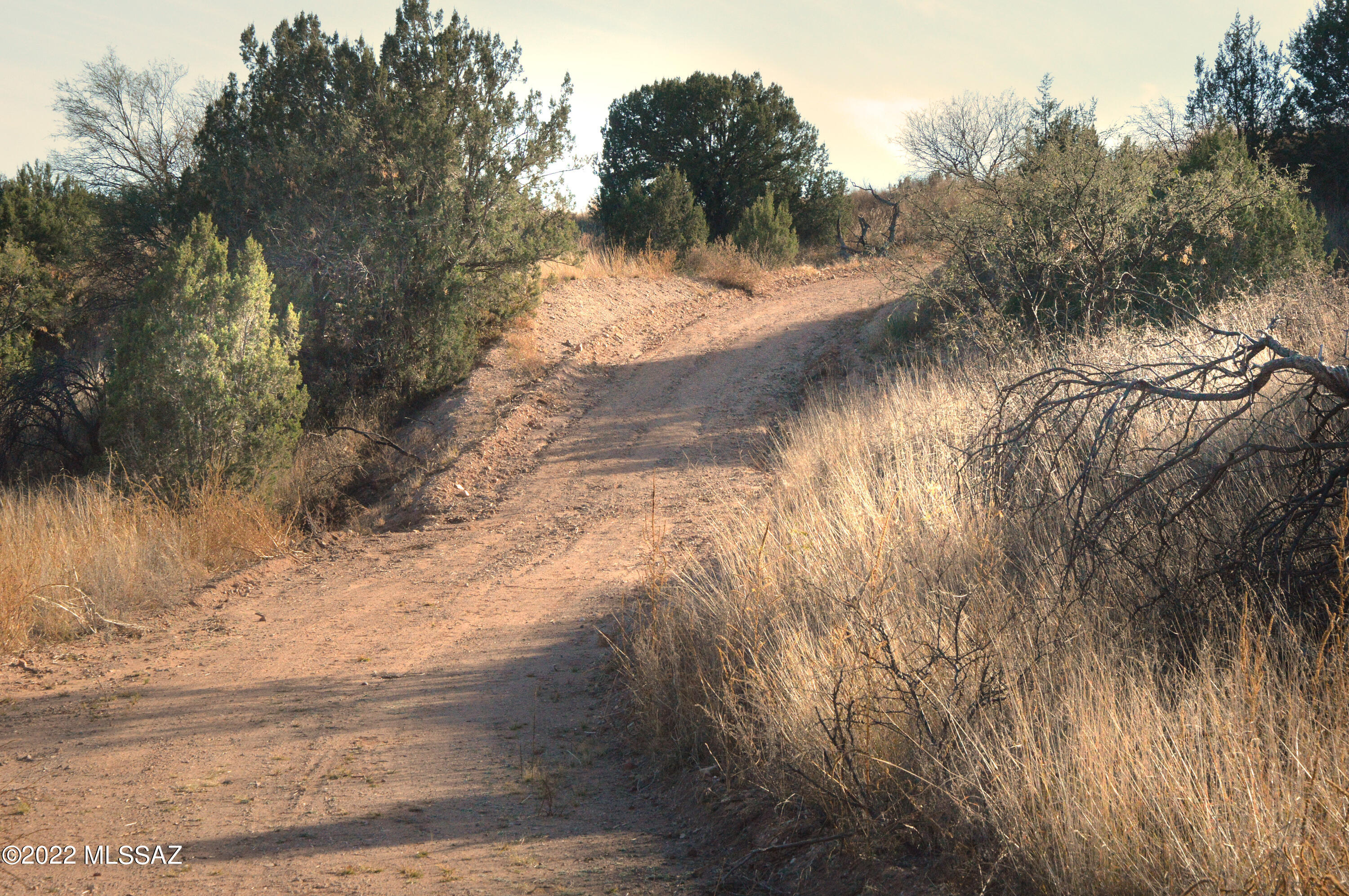 Lazy RR Ranch Estates - Land