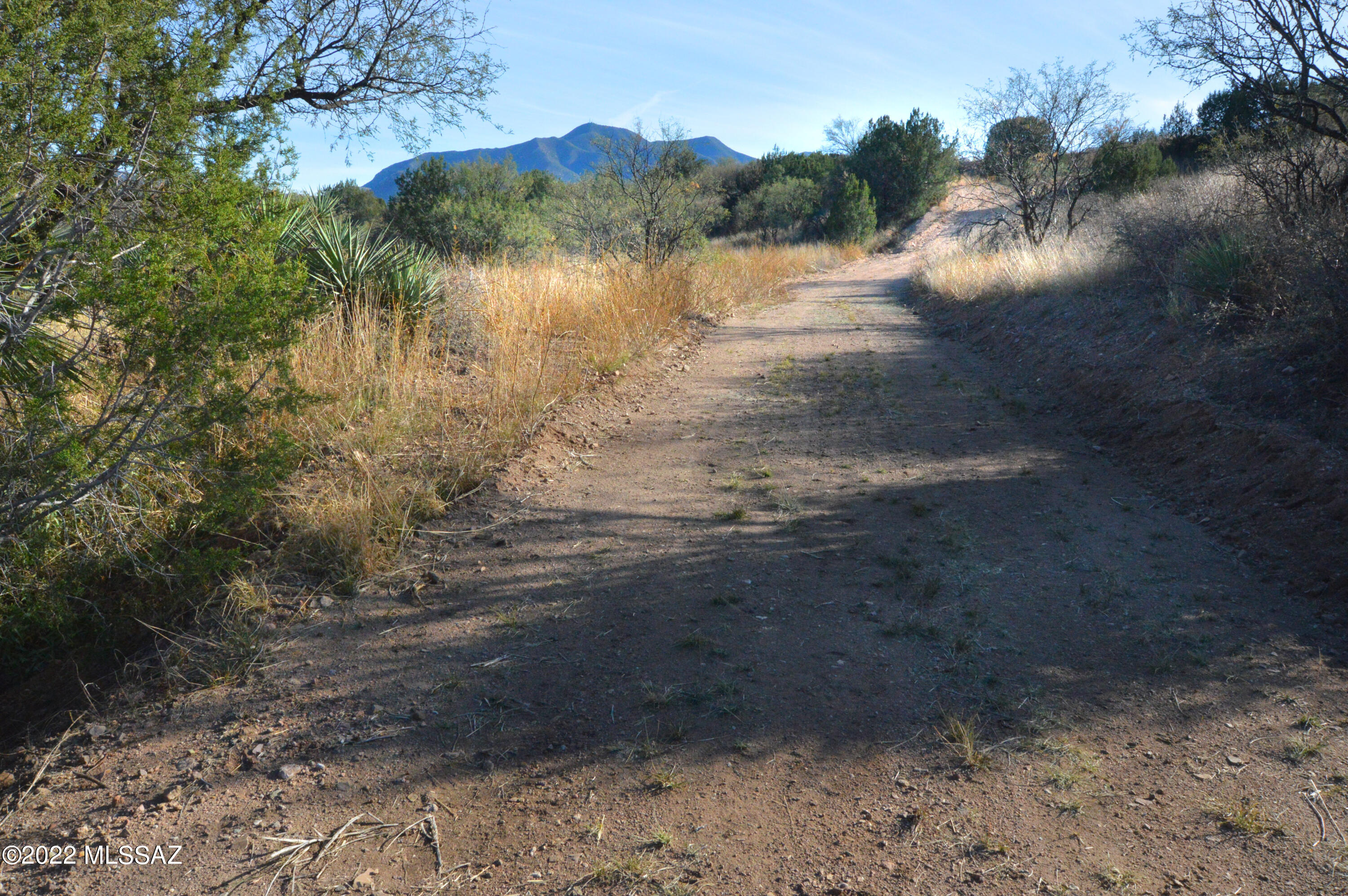 Lazy RR Ranch Estates - Land