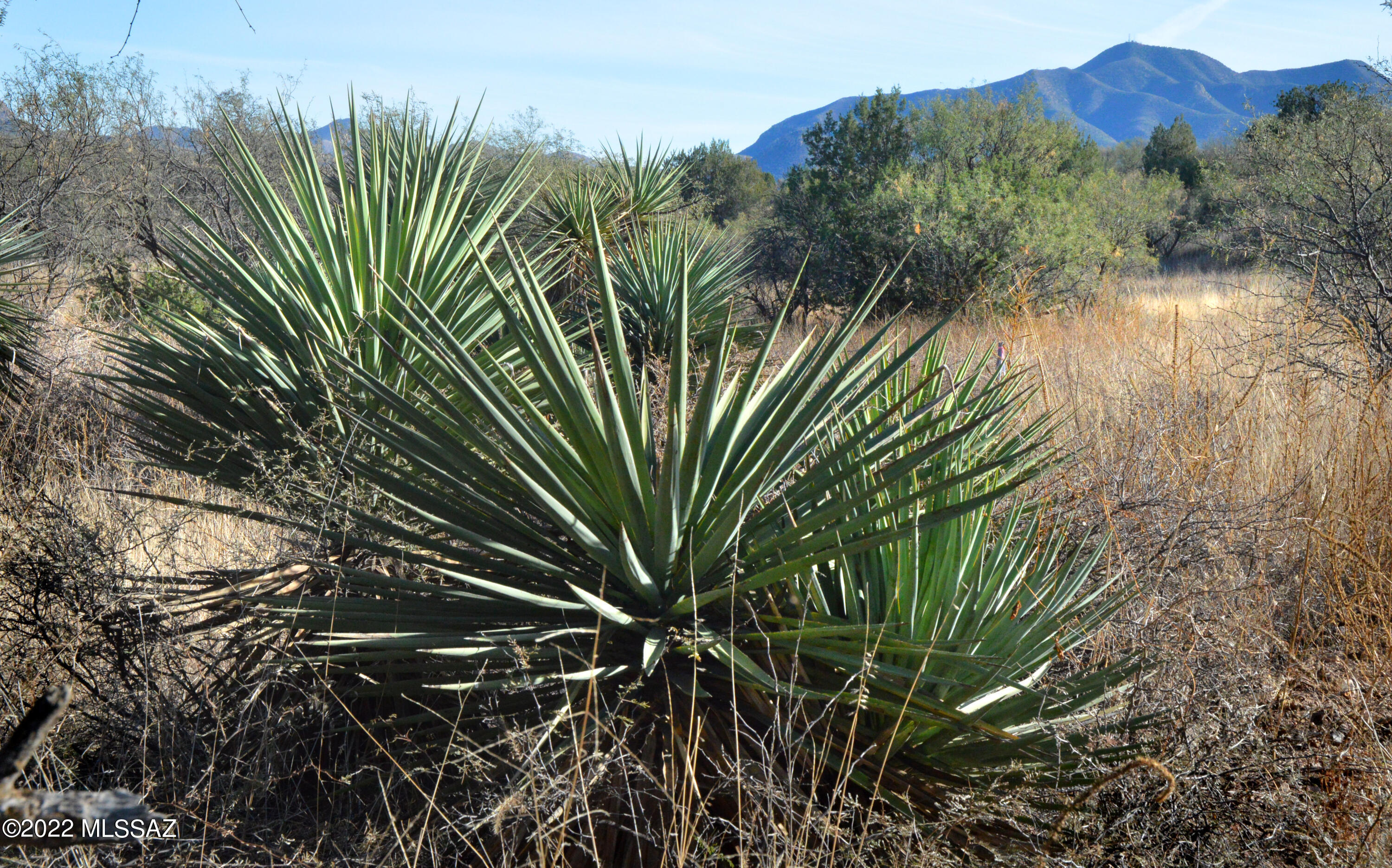 Lazy RR Ranch Estates - Land