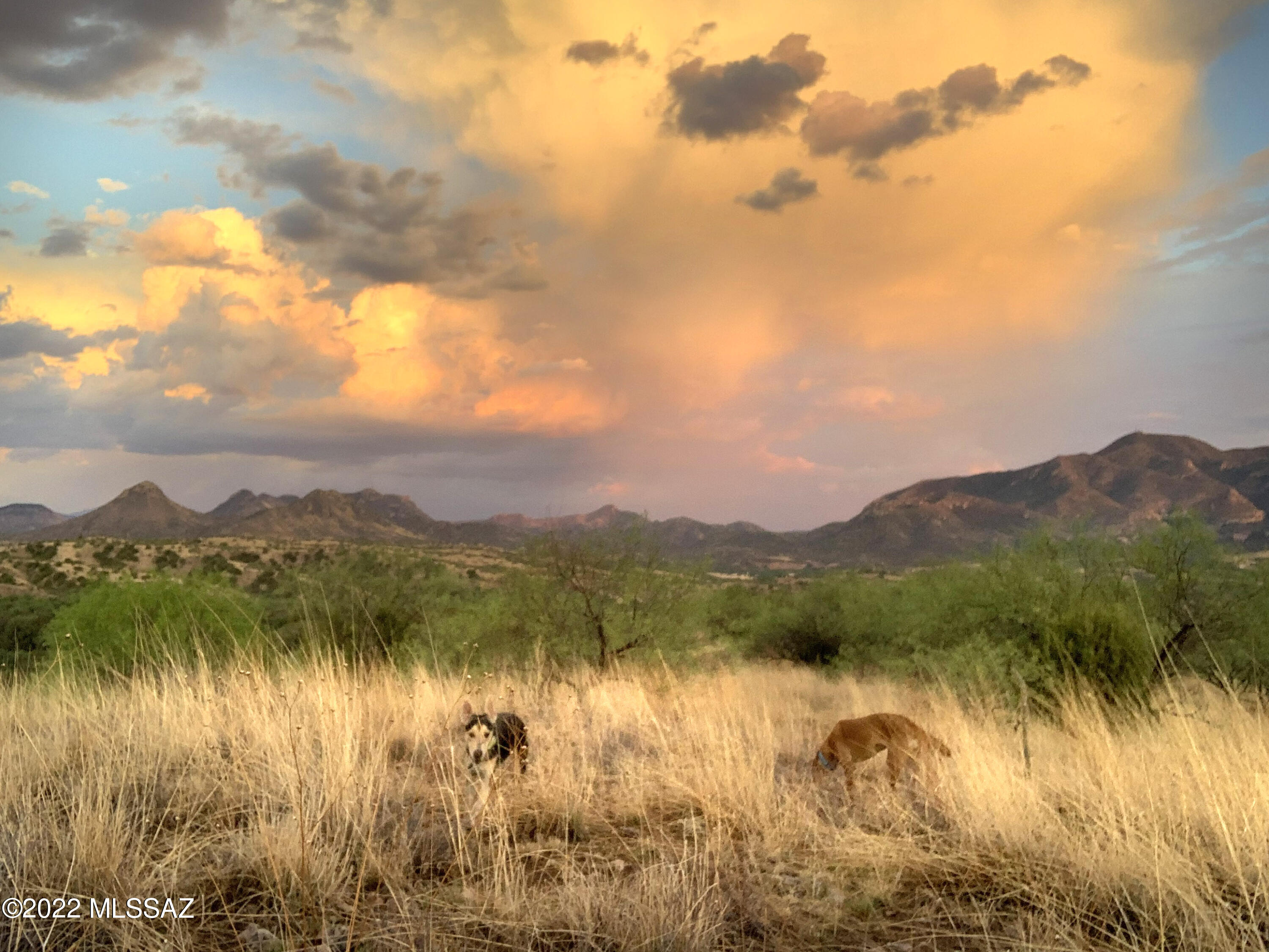 Lazy RR Ranch Estates - Land