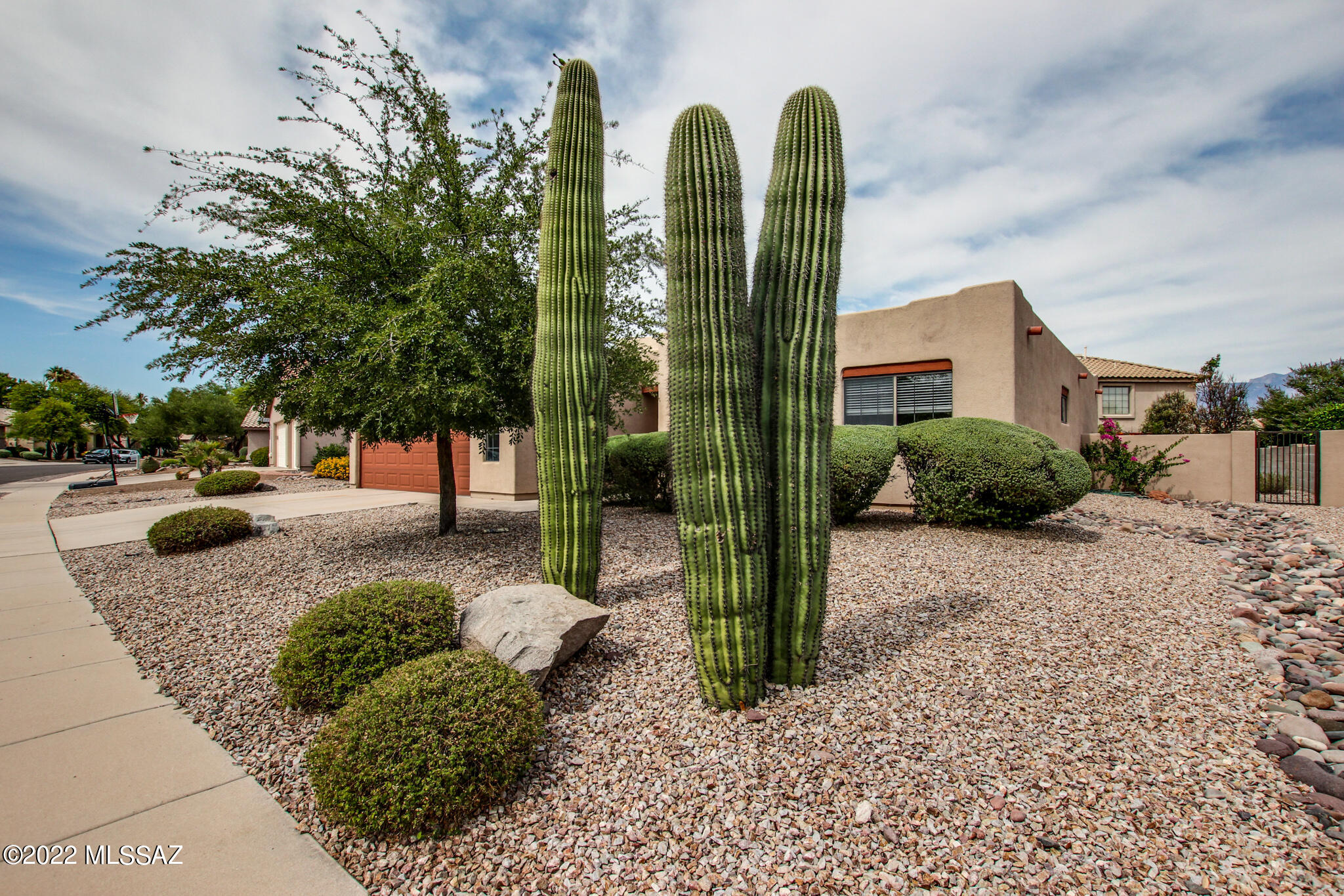 Rancho Vistoso Neighborhood 7 (1-317) - Residential