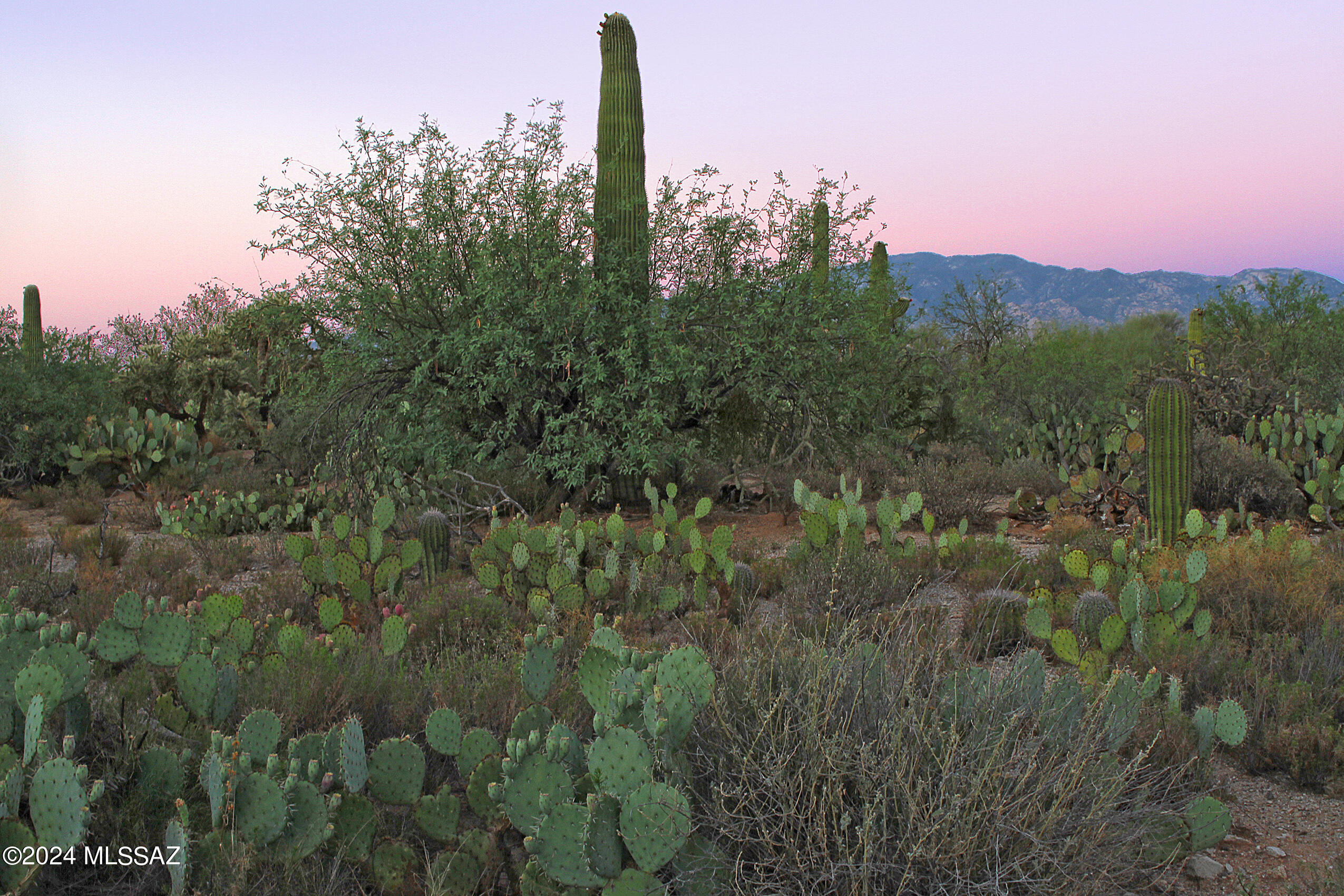 Sunset Canyon Estates (1-21) - Land