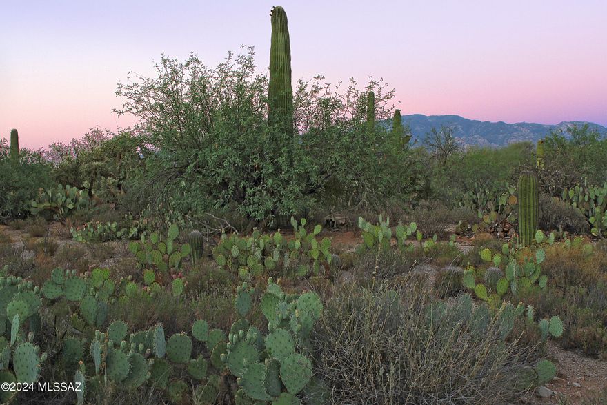 Very unique opportunity to own estate size parcel in the heart of Oro Valley. Enjoy Catalina mountain views with very easy to build flat lot. This lot is part of Sunset Canyon Estates, a small enclave of custom homes. Design your own custom home with our builder or choose from one of our floorplans. Utilities at lot line. Call to learn more about this lot and opportunities for a custom home.