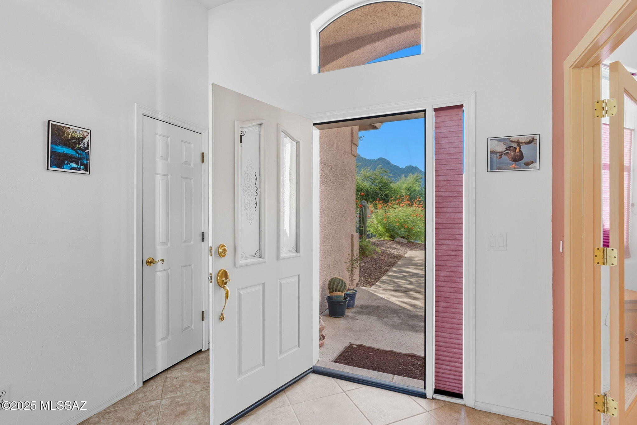 441 E Desert Golf Place