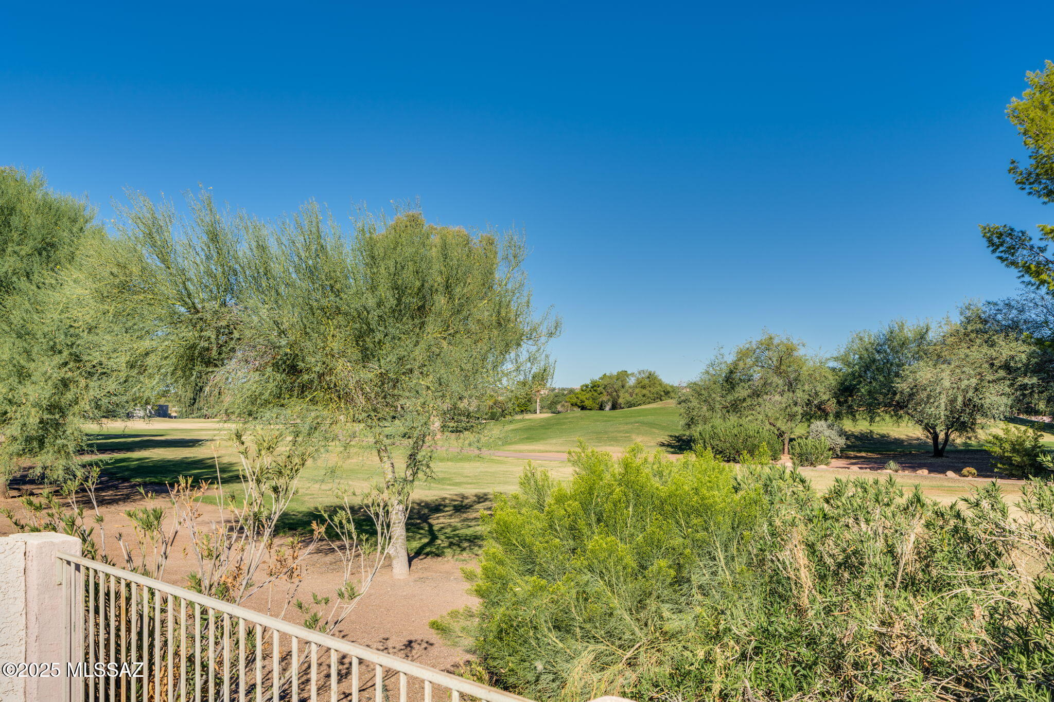 441 E Desert Golf Place