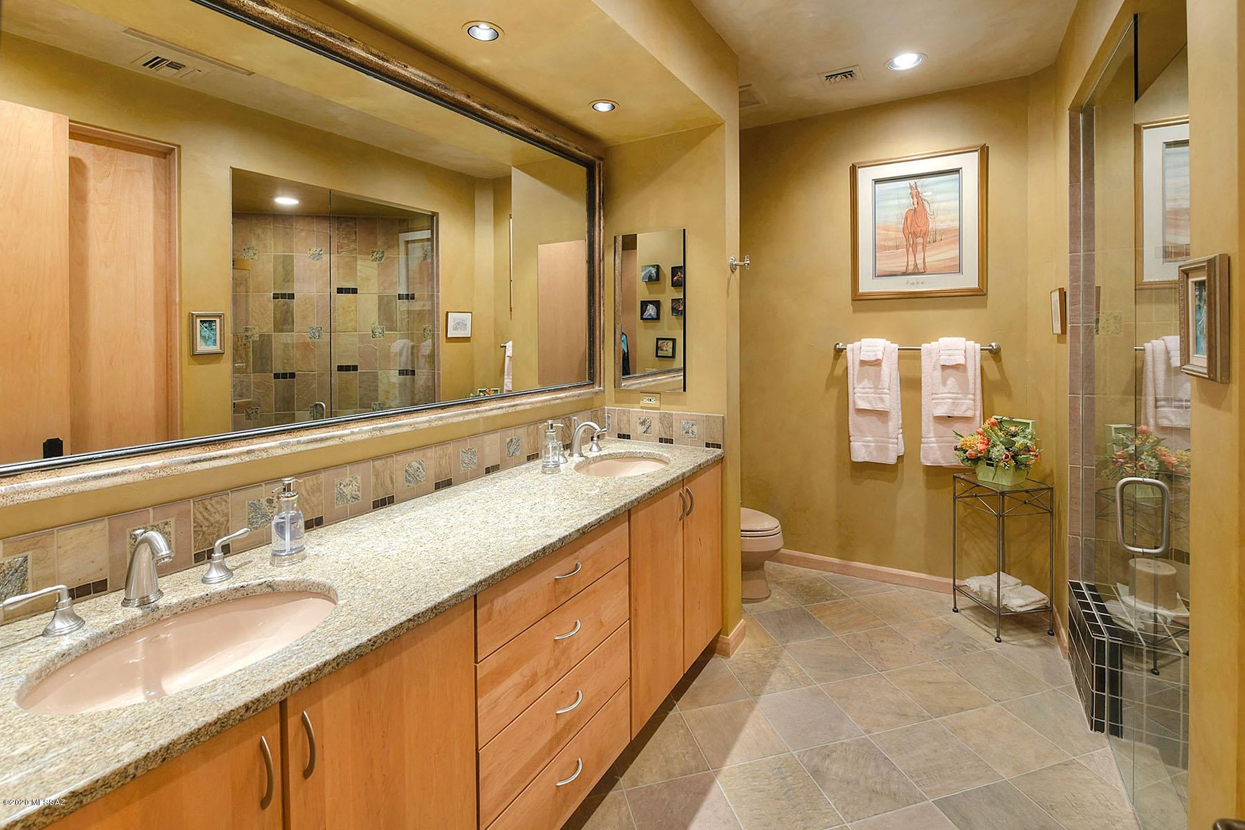 Pima Canyon Estates (298-308) - Residential