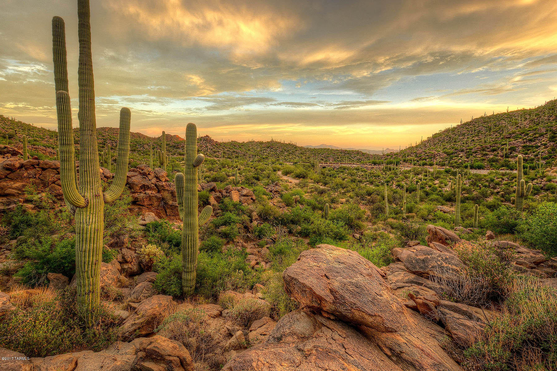 Saguaro Ranch (9-52) Blks. 1-4 - Residential