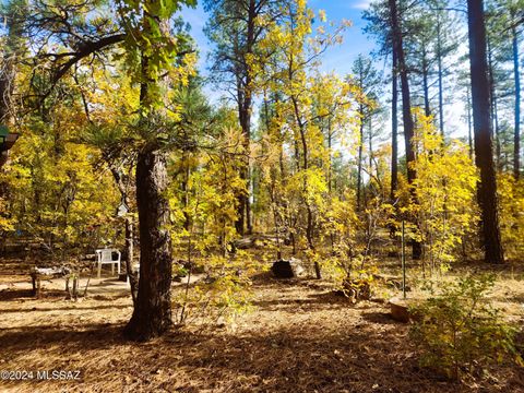 A home in Pinetop