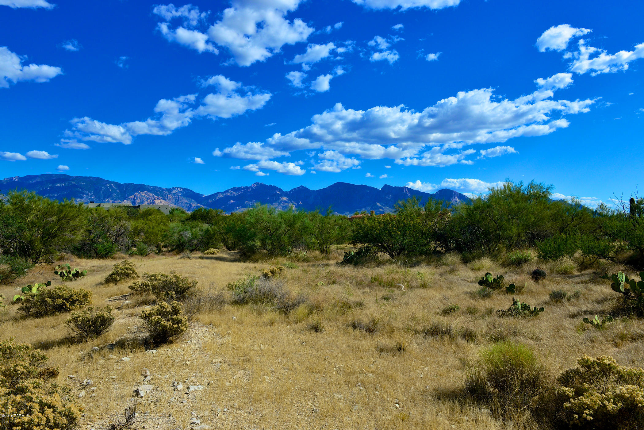 Stone Canyon I - Land