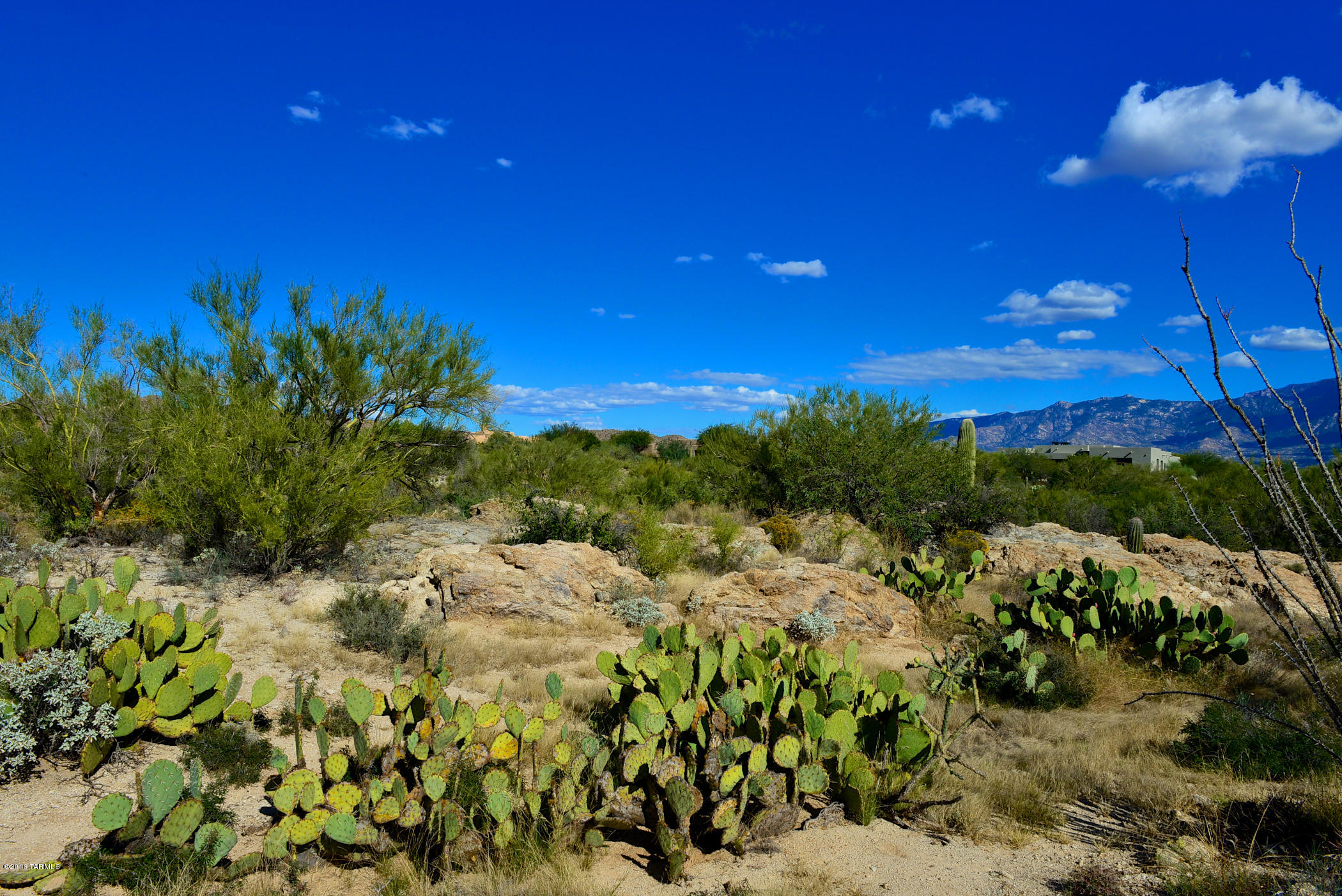 Stone Canyon I - Land