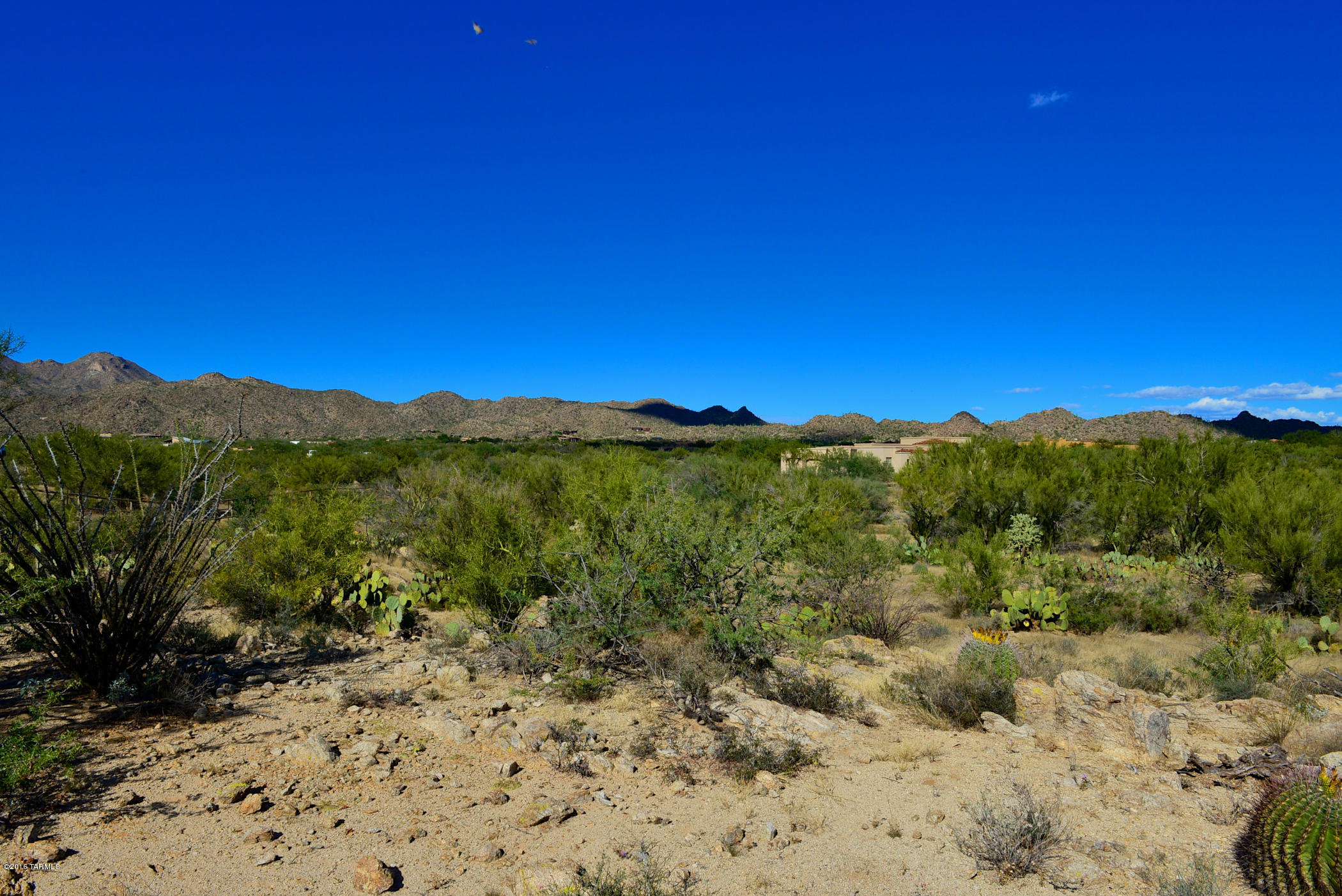 Stone Canyon I - Land