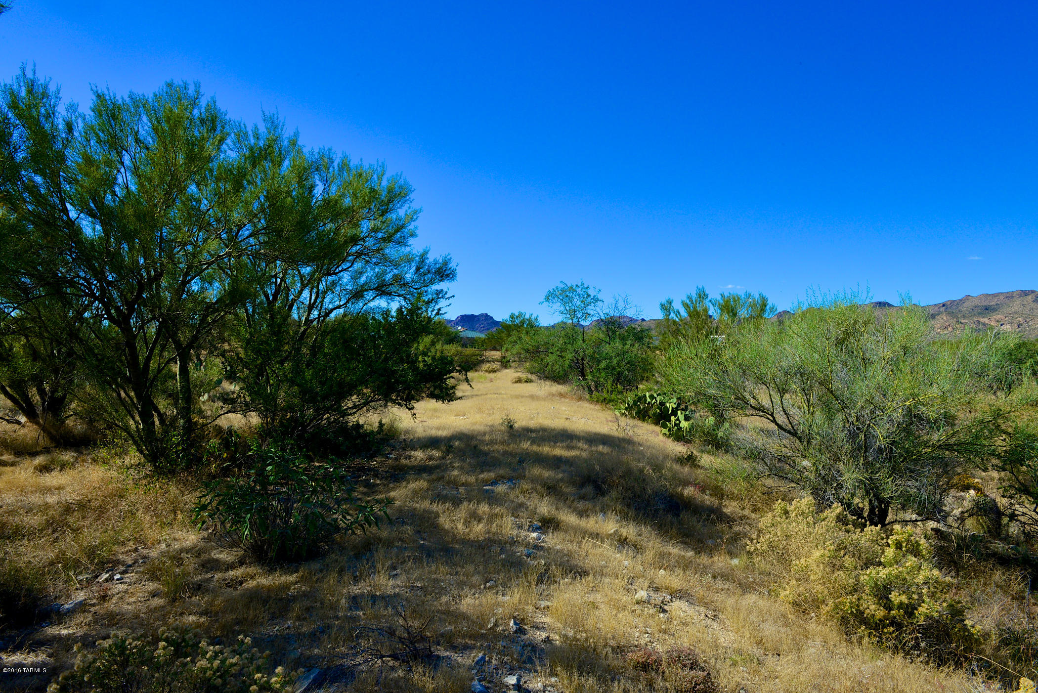 Stone Canyon I - Land