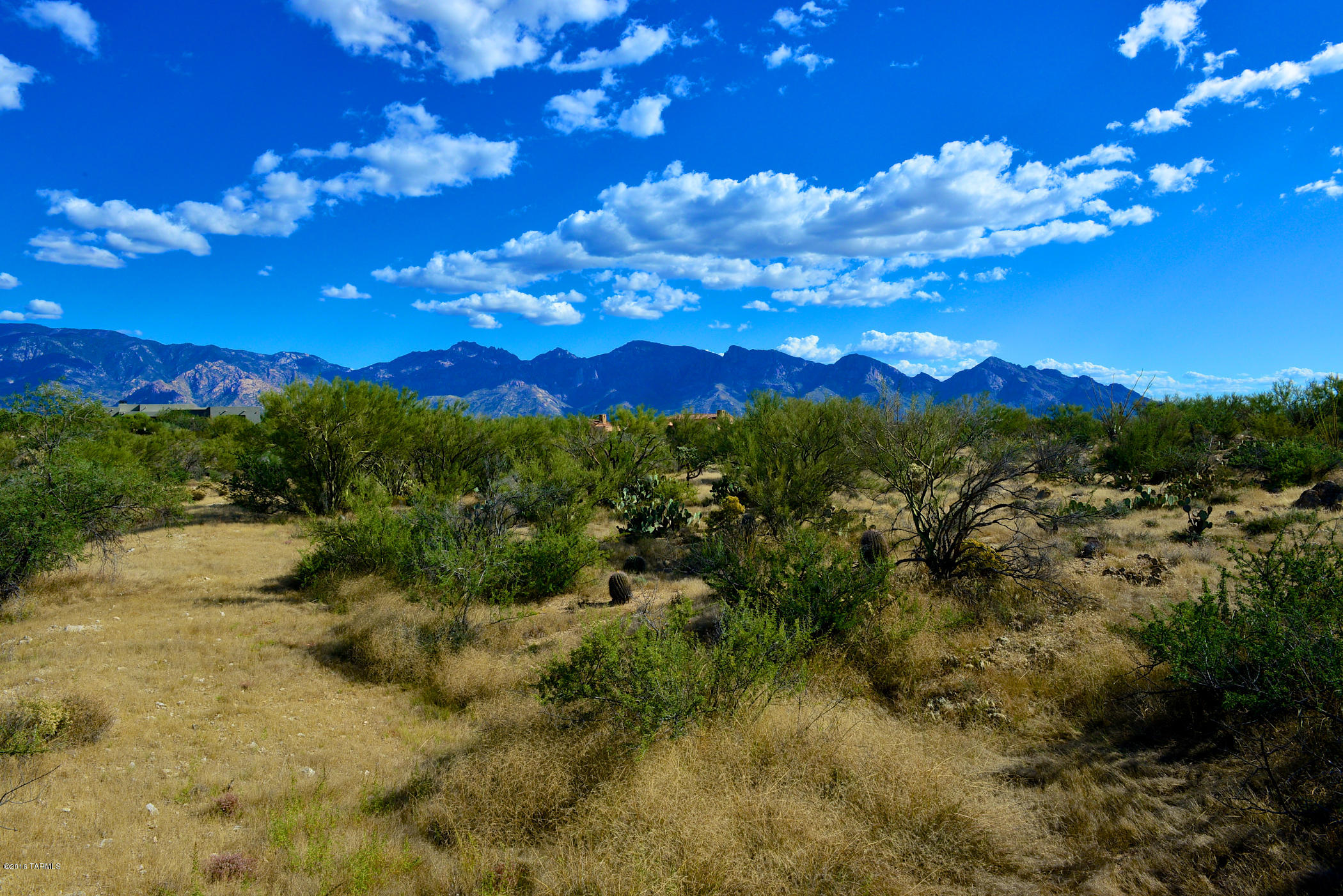 Stone Canyon I - Land