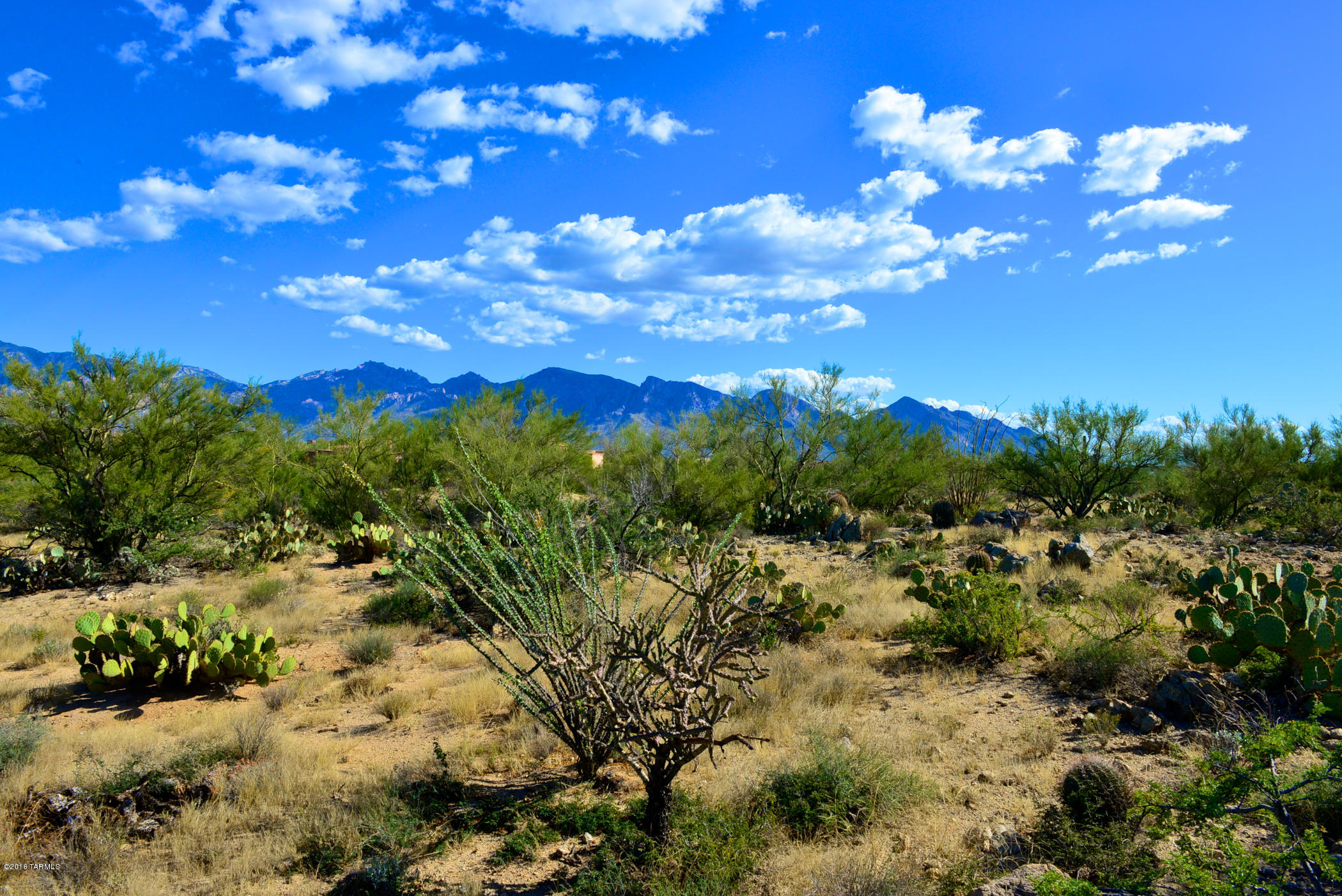 Stone Canyon I - Land