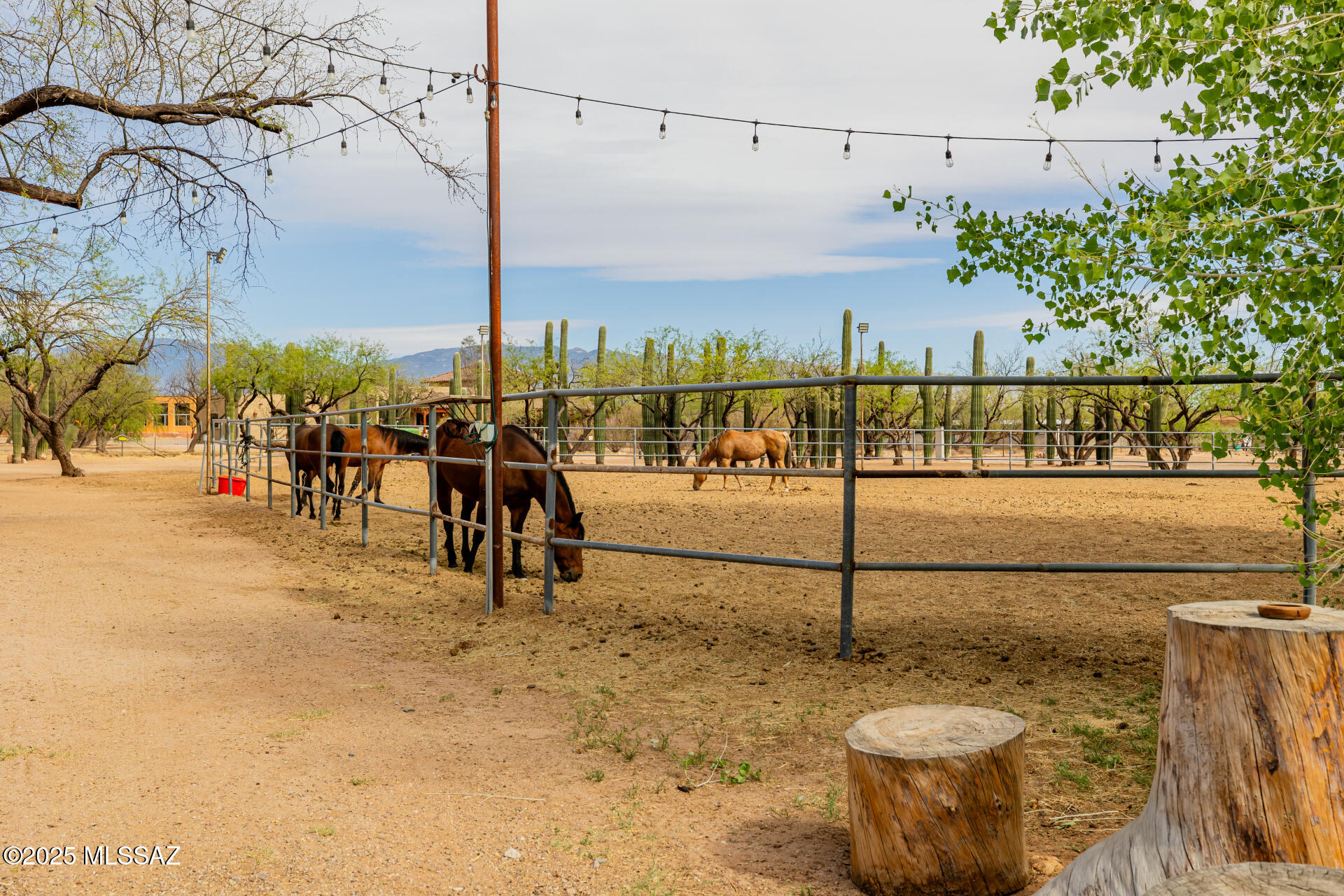 Bear Canyon Estates (1-58) - Residential