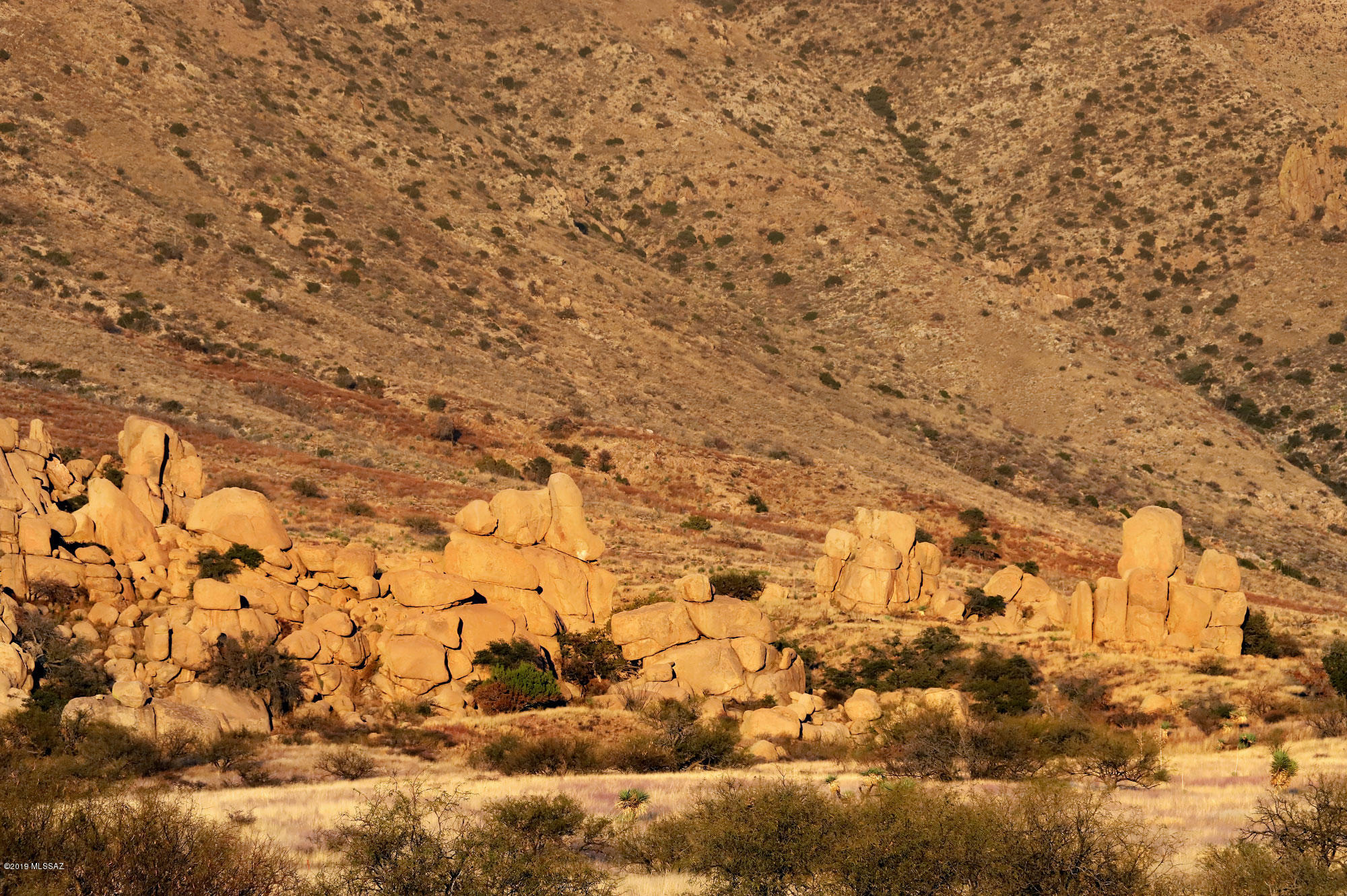Dragoon Mountain Ranch - Residential