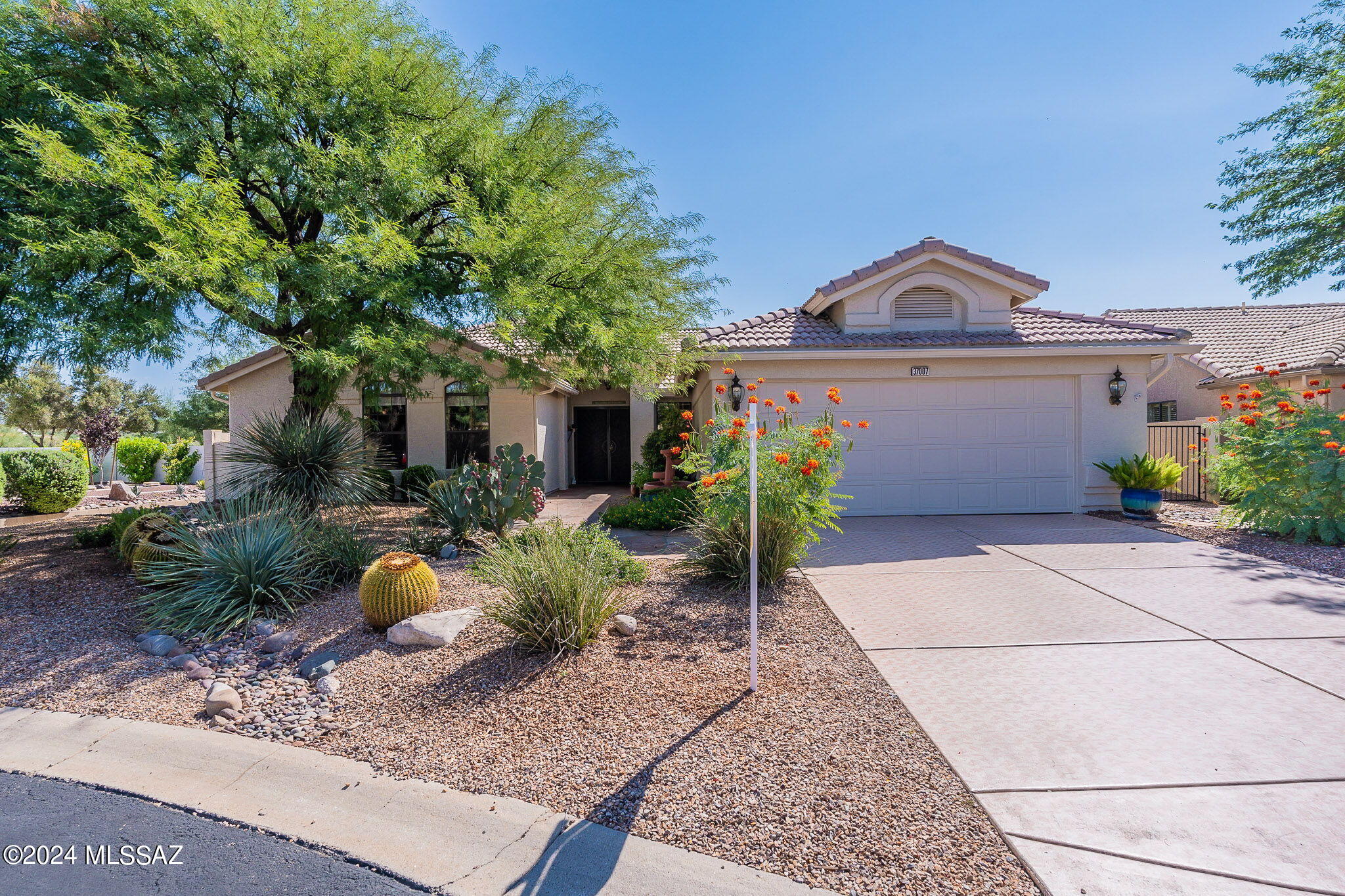 Saddlebrooke - Residential