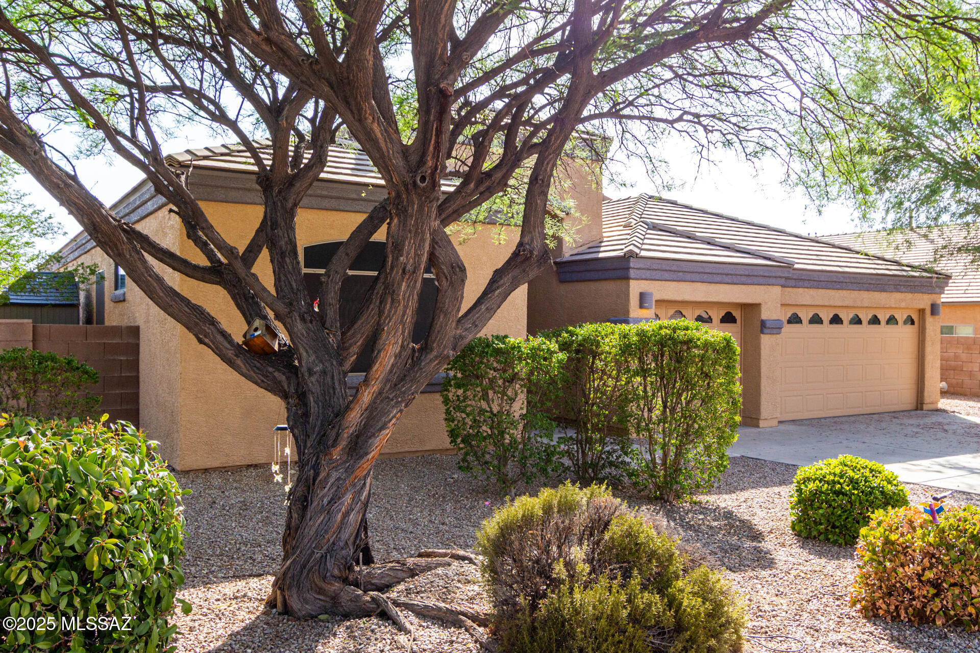 New Tucson Unit NO. 8 (1-455) - Residential