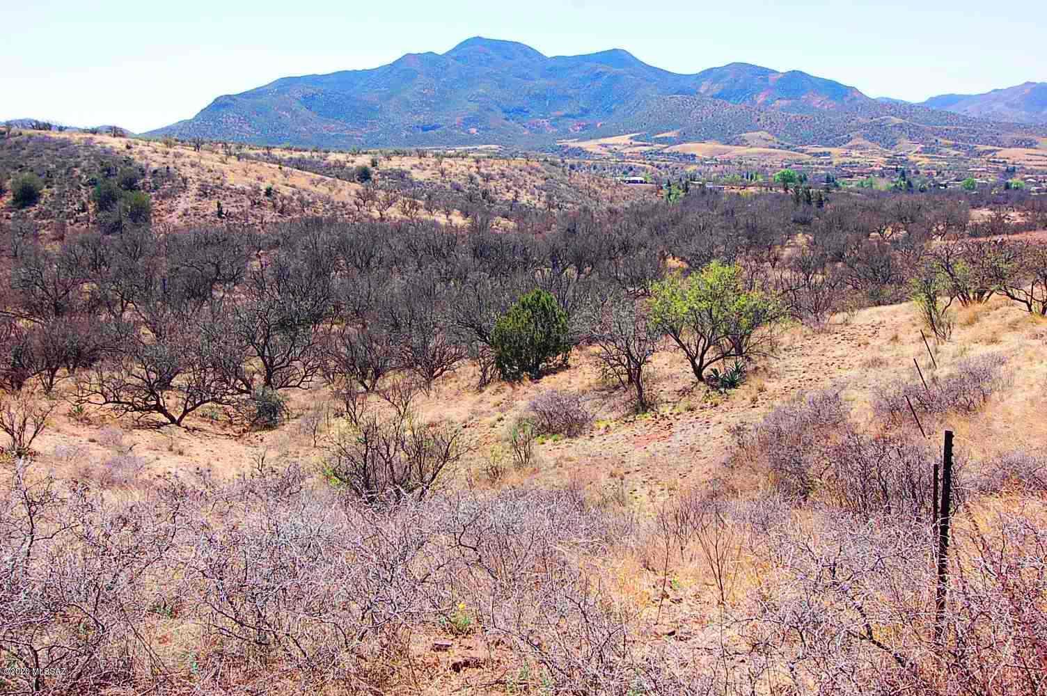 The Estates At Three Canyons - Land
