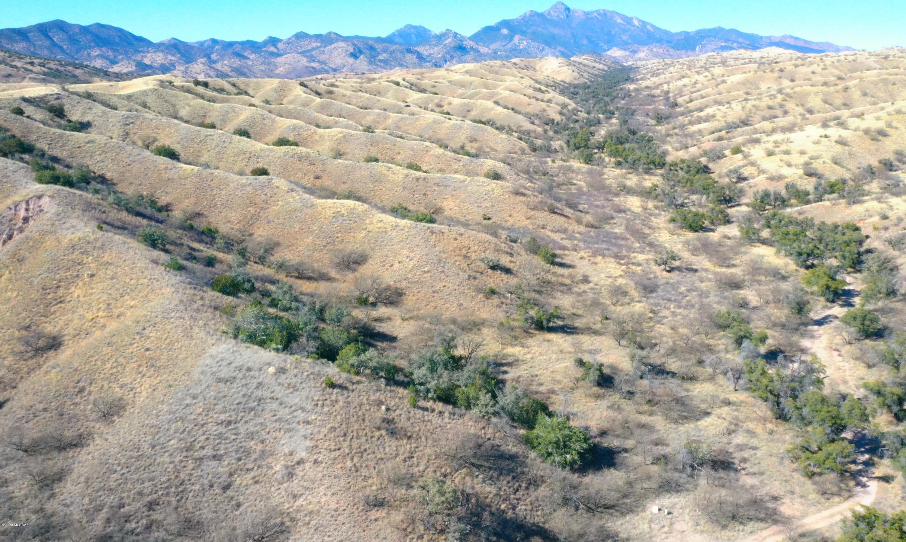 The Estates At Three Canyons - Land