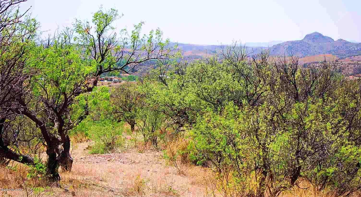 The Estates At Three Canyons - Land