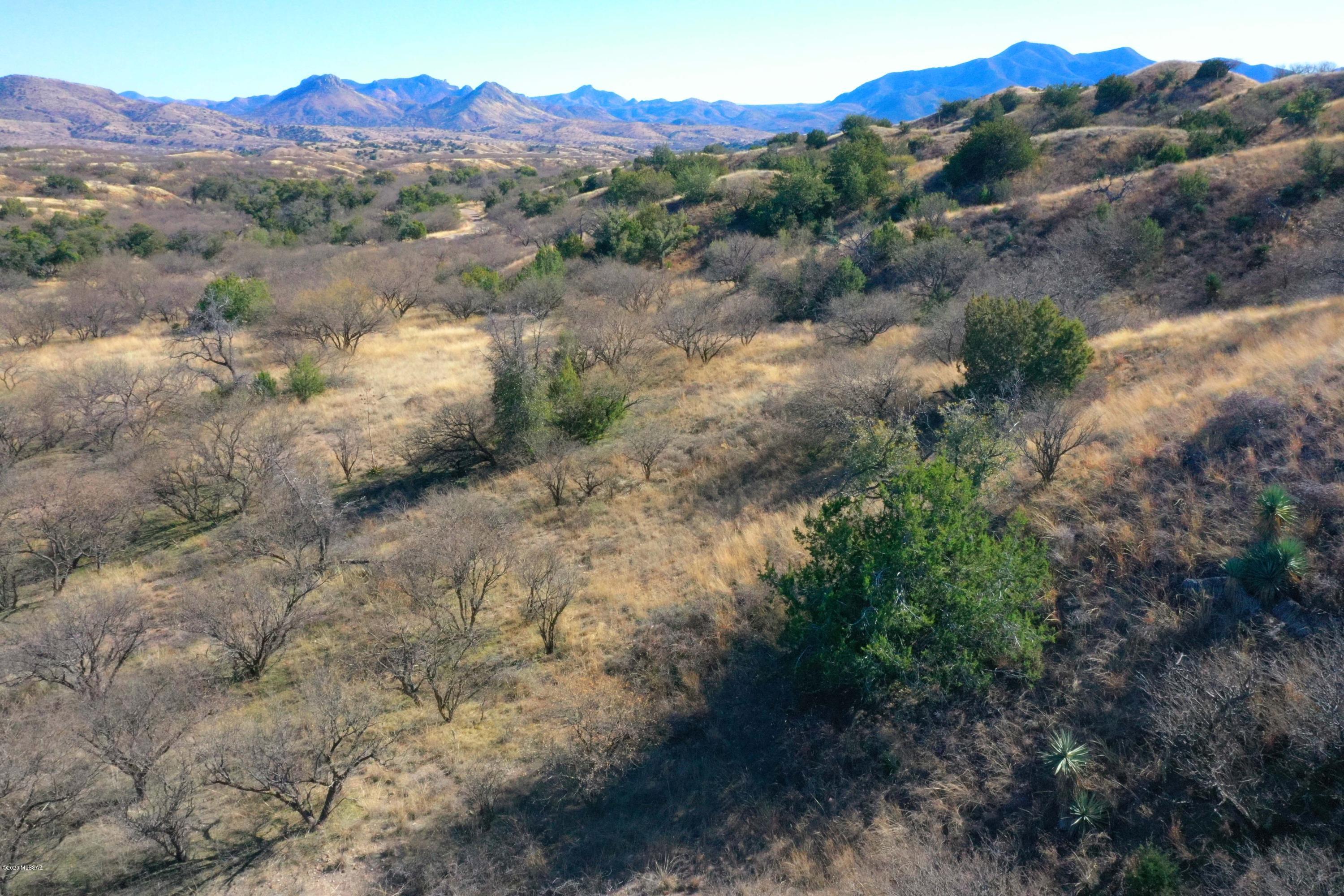 The Estates At Three Canyons - Land