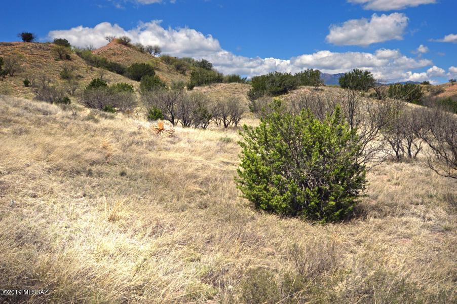 The Estates At Three Canyons - Land