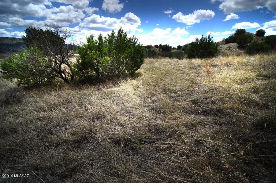 The Estates At Three Canyons - Land