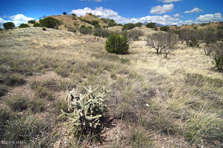 The Estates At Three Canyons - Land