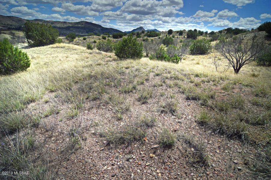The Estates At Three Canyons - Land