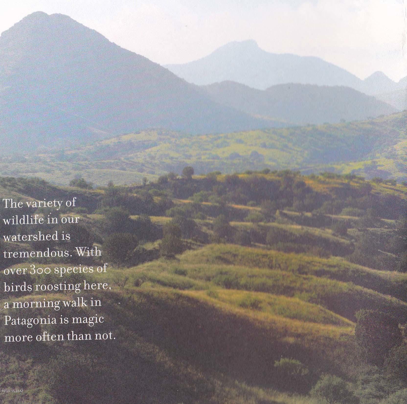 The Estates At Three Canyons - Land