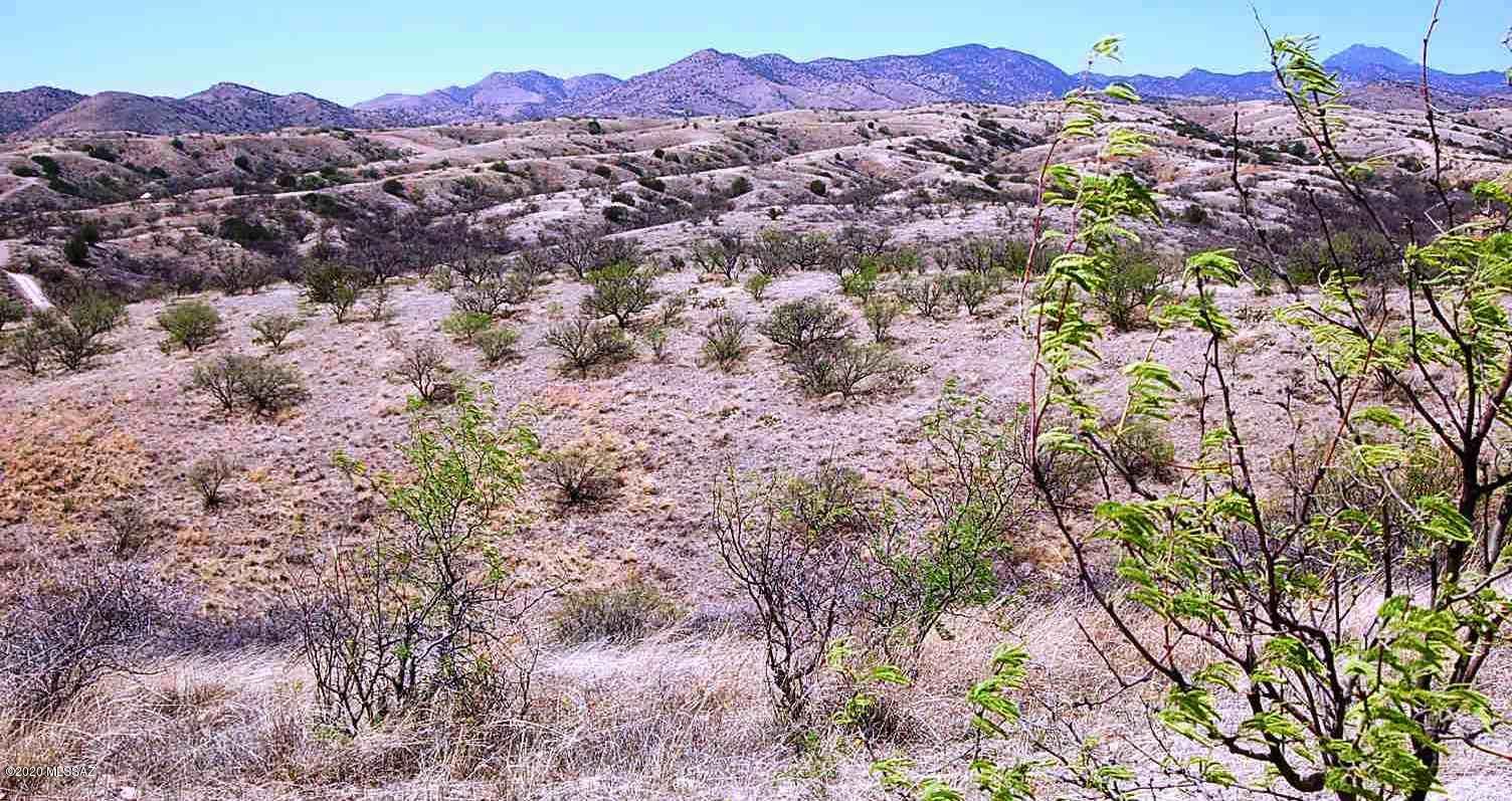 The Estates At Three Canyons - Land