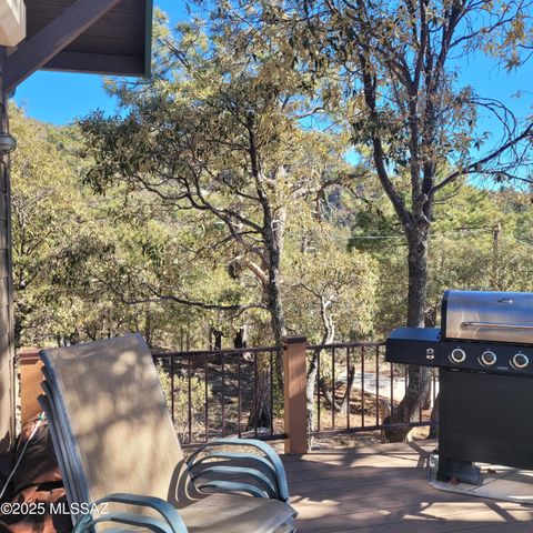 A home in Mt. Lemmon