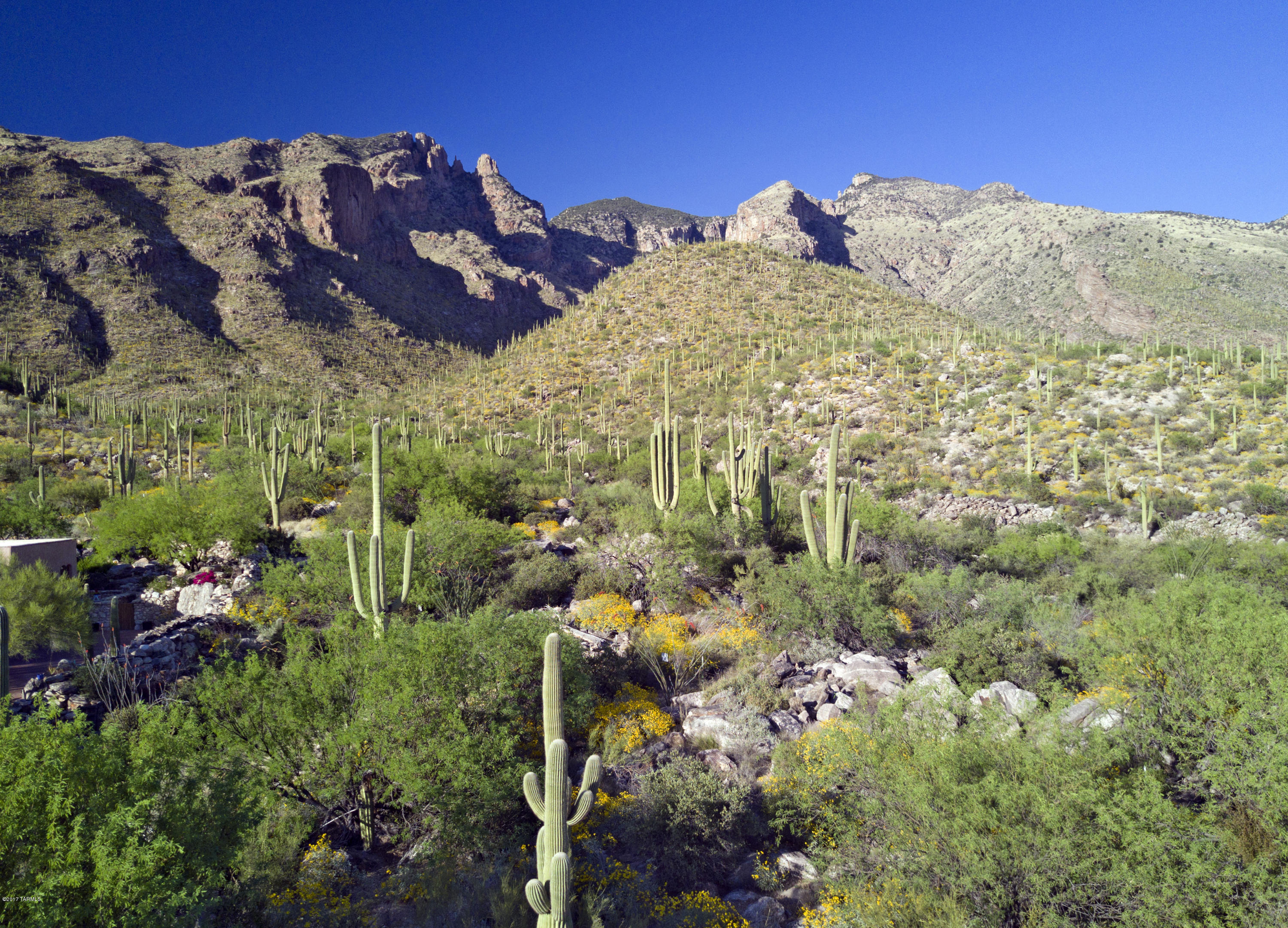 Canyons (The) - Residential