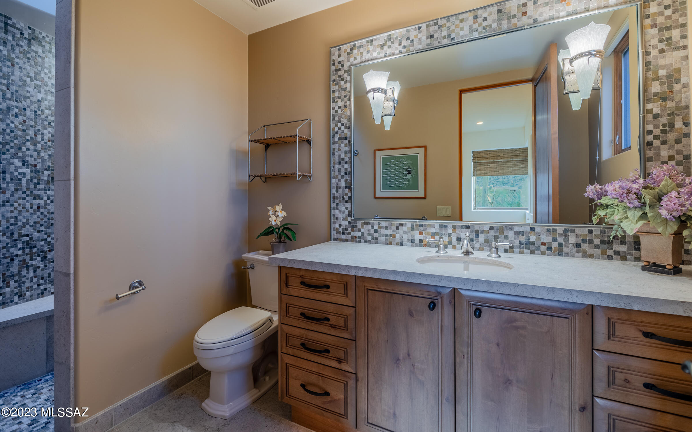 Canyon Pass At Dove Mountain - Residential
