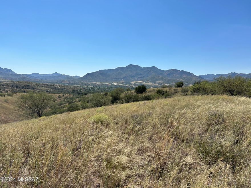 GORGEOUS MOUNTAIN VIEWS overlooking Patagonia!  Rare opportunity to buy great land so near Town of Patagonia.  16.56 acres, this lot is dividable into 4 parcels.  Electricity at the lot line, good dirt road with a simple road maintenance agreement.  No HOA to deal with or flood plain insurance.  Perfect for nature lovers.  Additional 7.59 acres available for a total of 24.15.  See MLS #22422409.