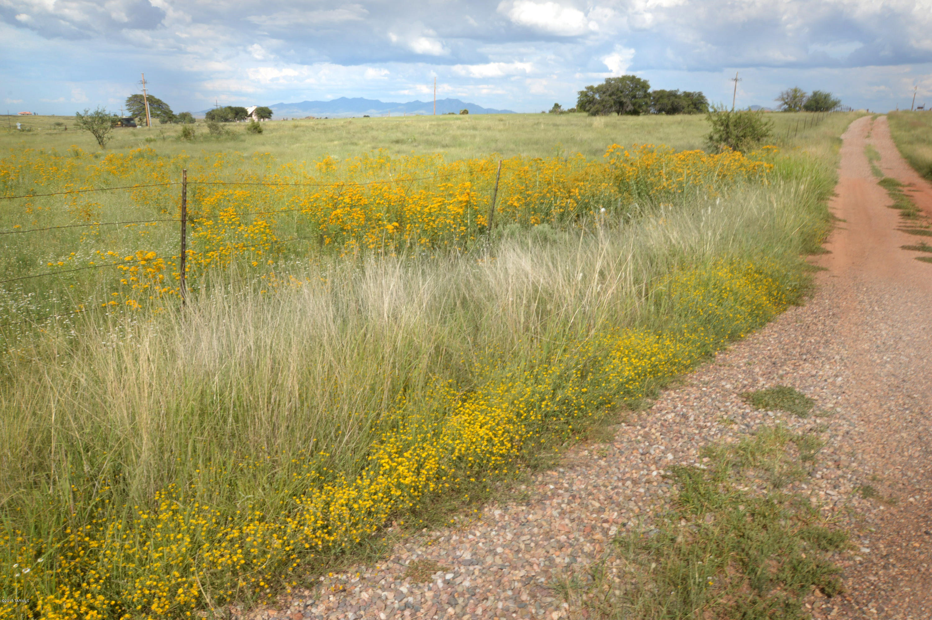 Out Of Pima County - Residential